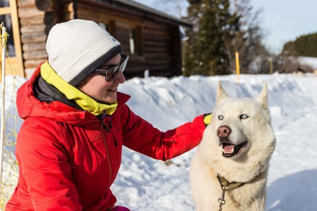 Jura Mountains: Adventures and Dog Sledding