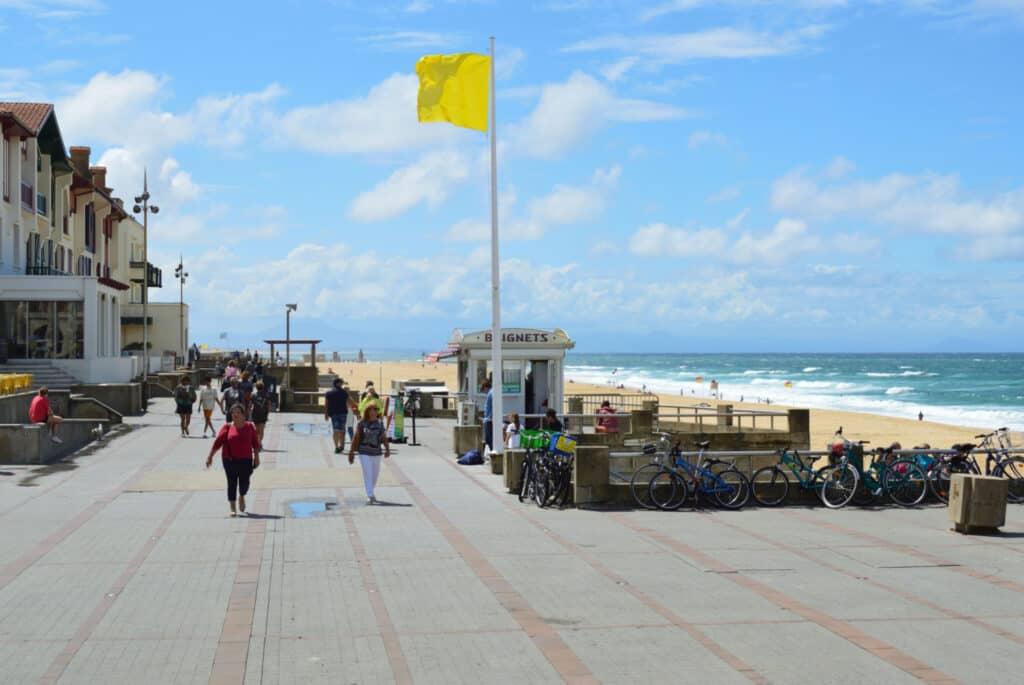 What to do in the Landes?
