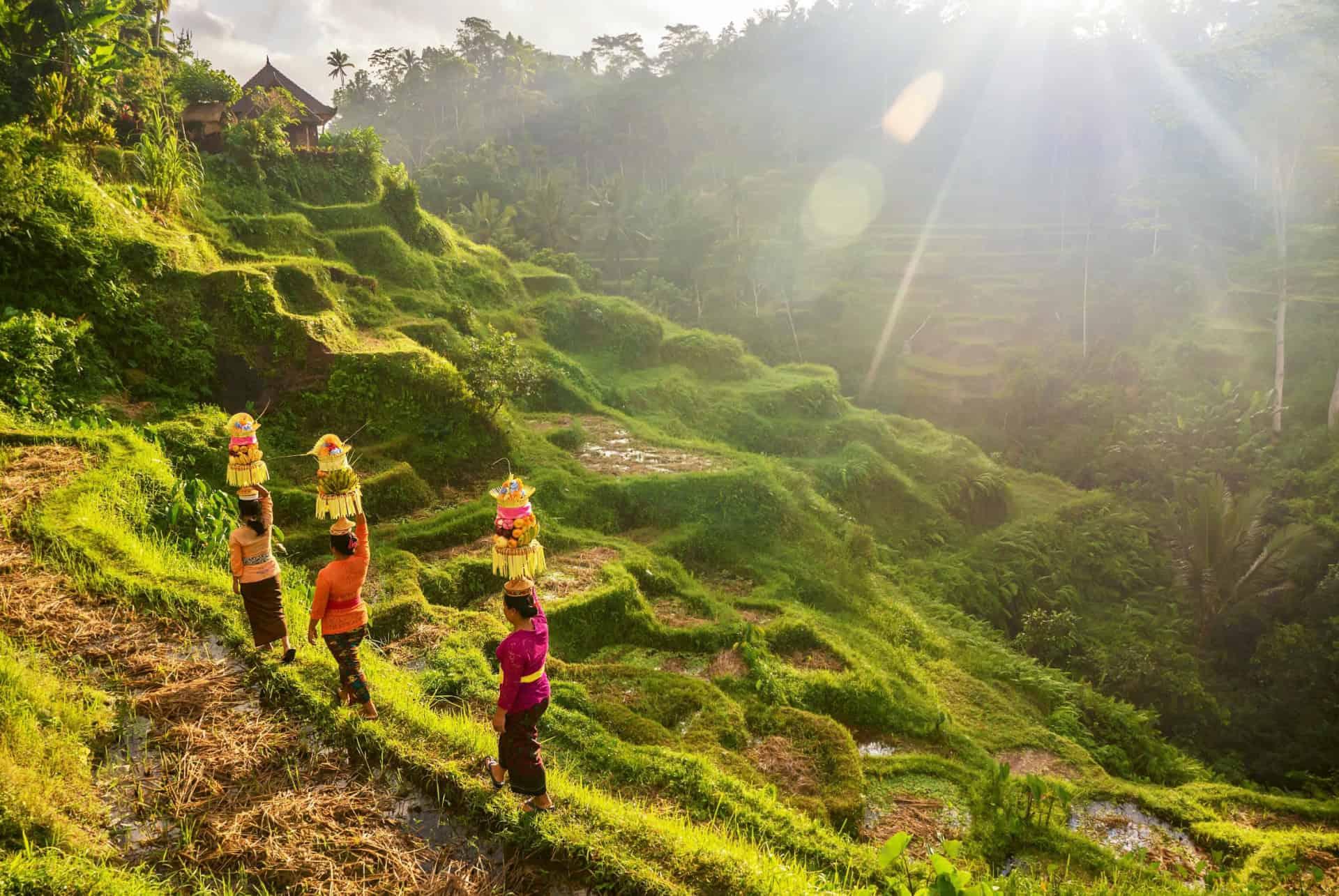 bali climate july