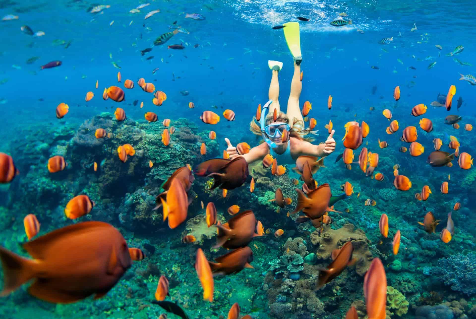 diving in bali in july