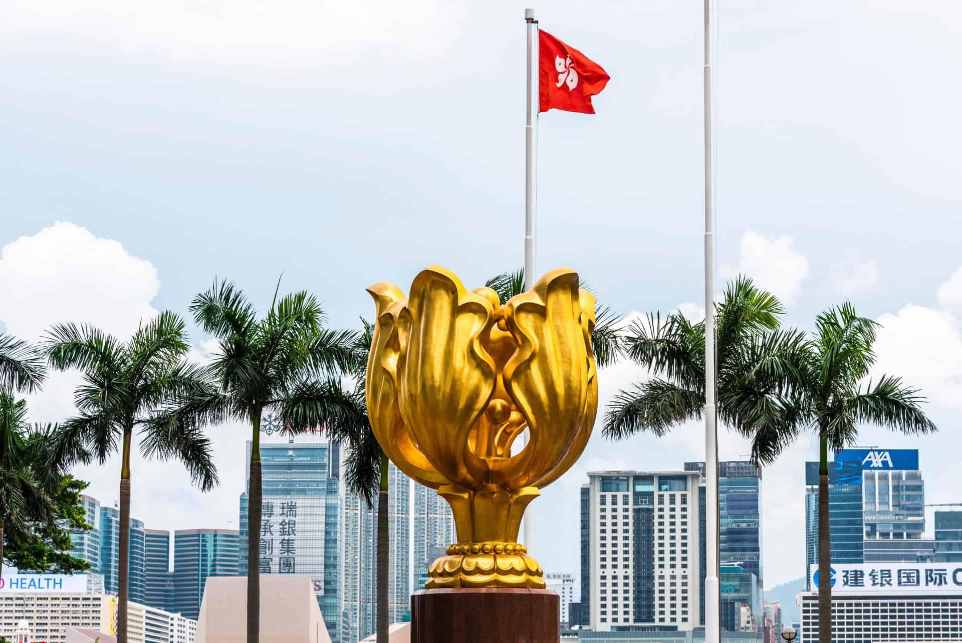 golden bauhinia in hong kong