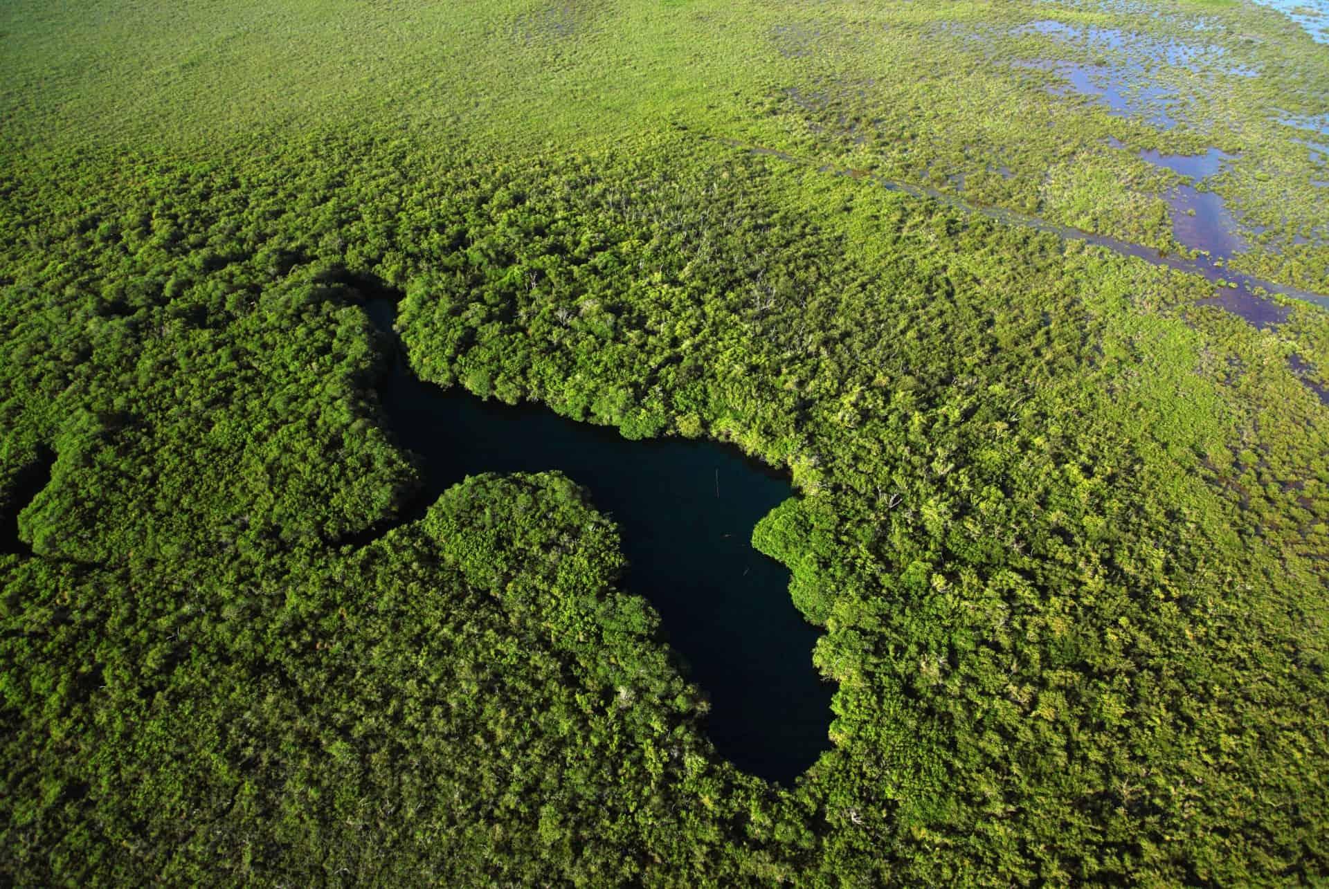 Sian Ka'an Reserve