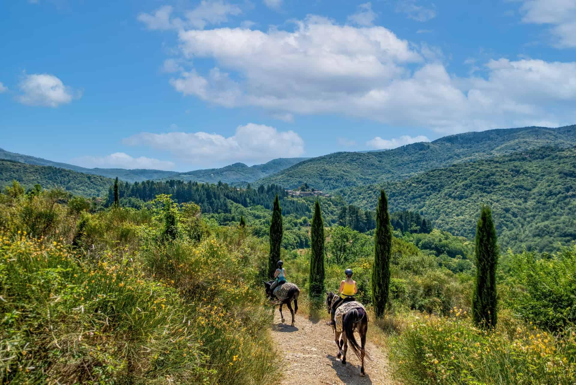 Road Trip Tuscany in Summer