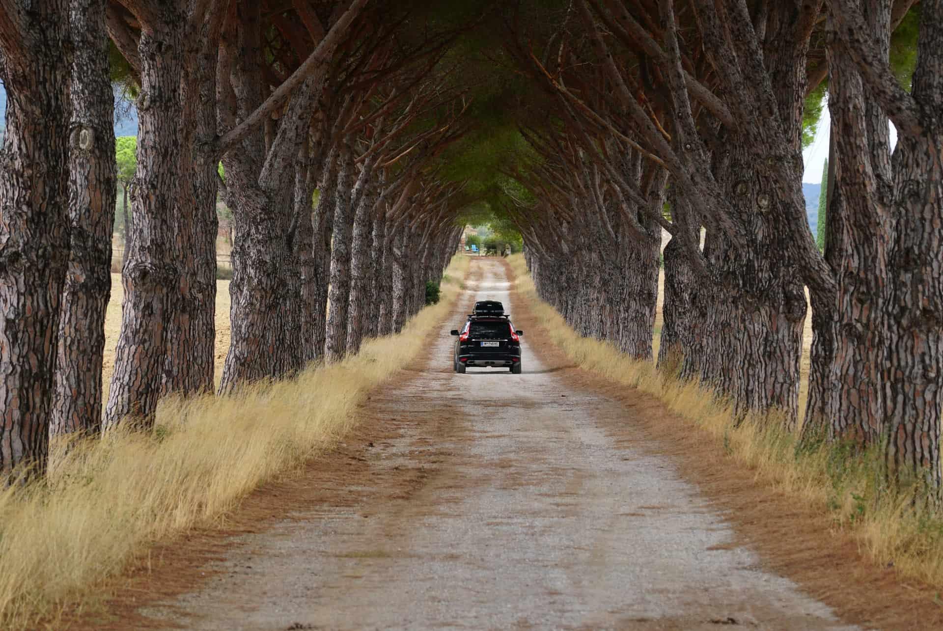 Driving in Tuscany