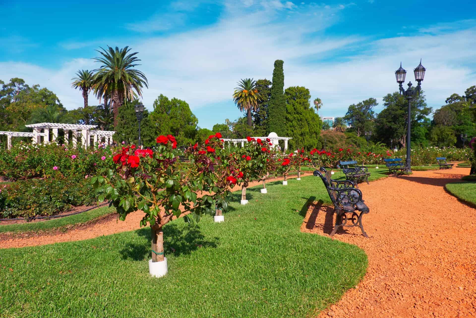 palermo park buenos aires