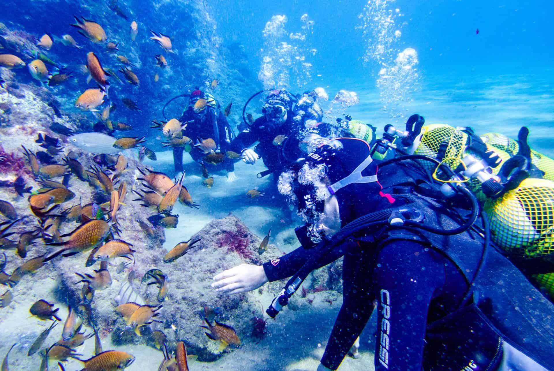 scuba diving lanzarote