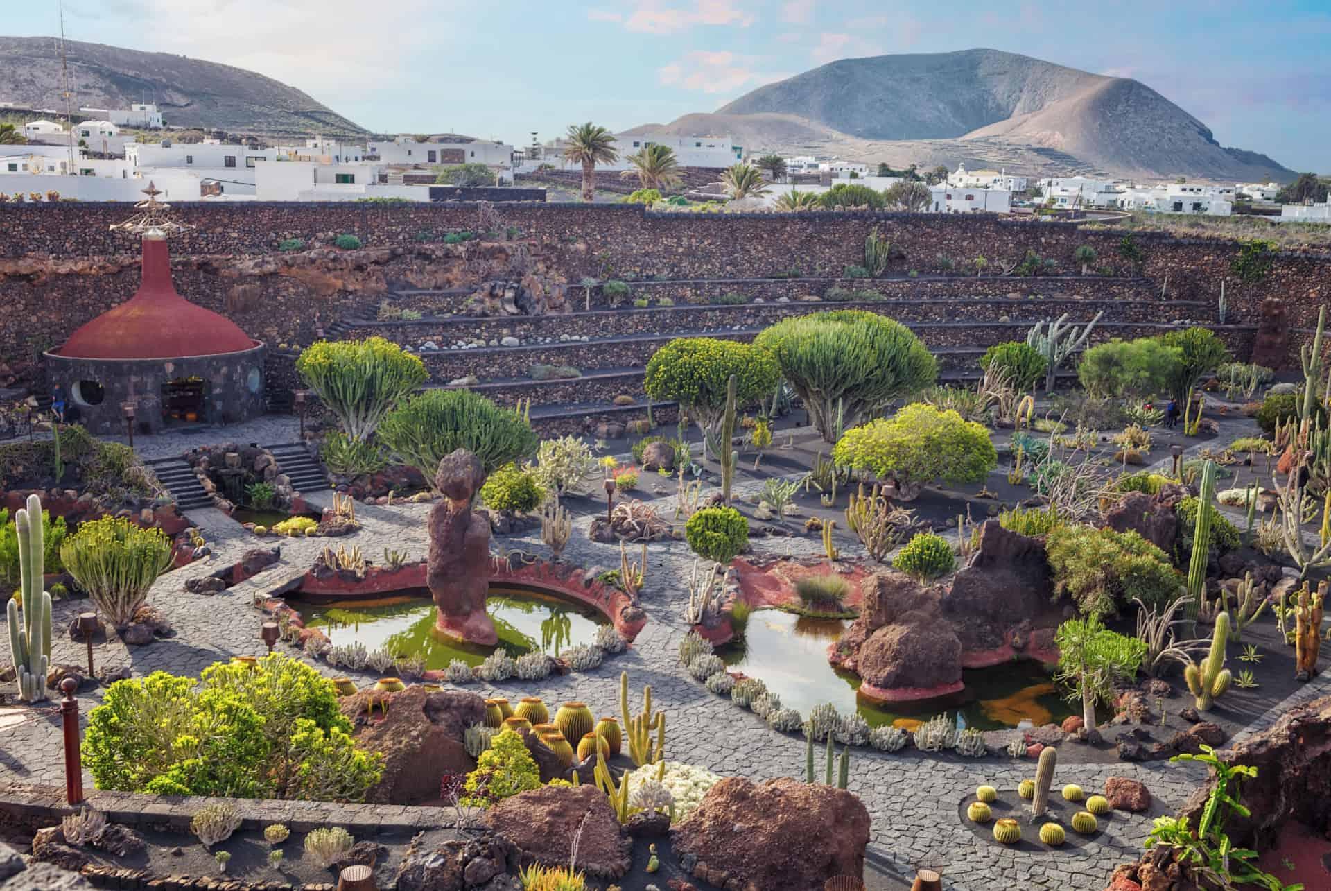 what to do in lanzarote cactus garden