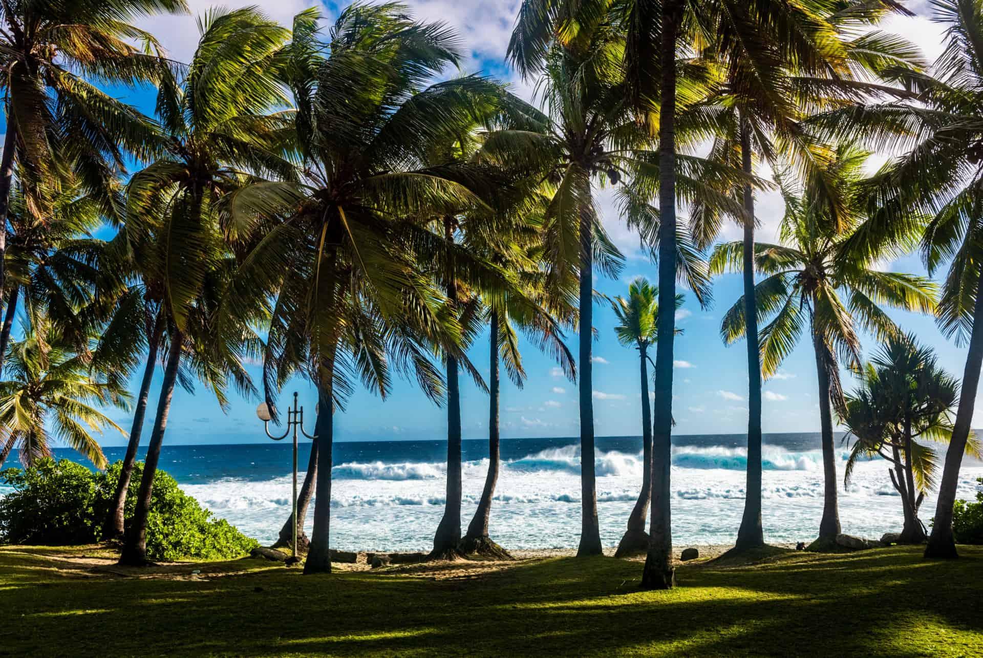reunion island where to go in december