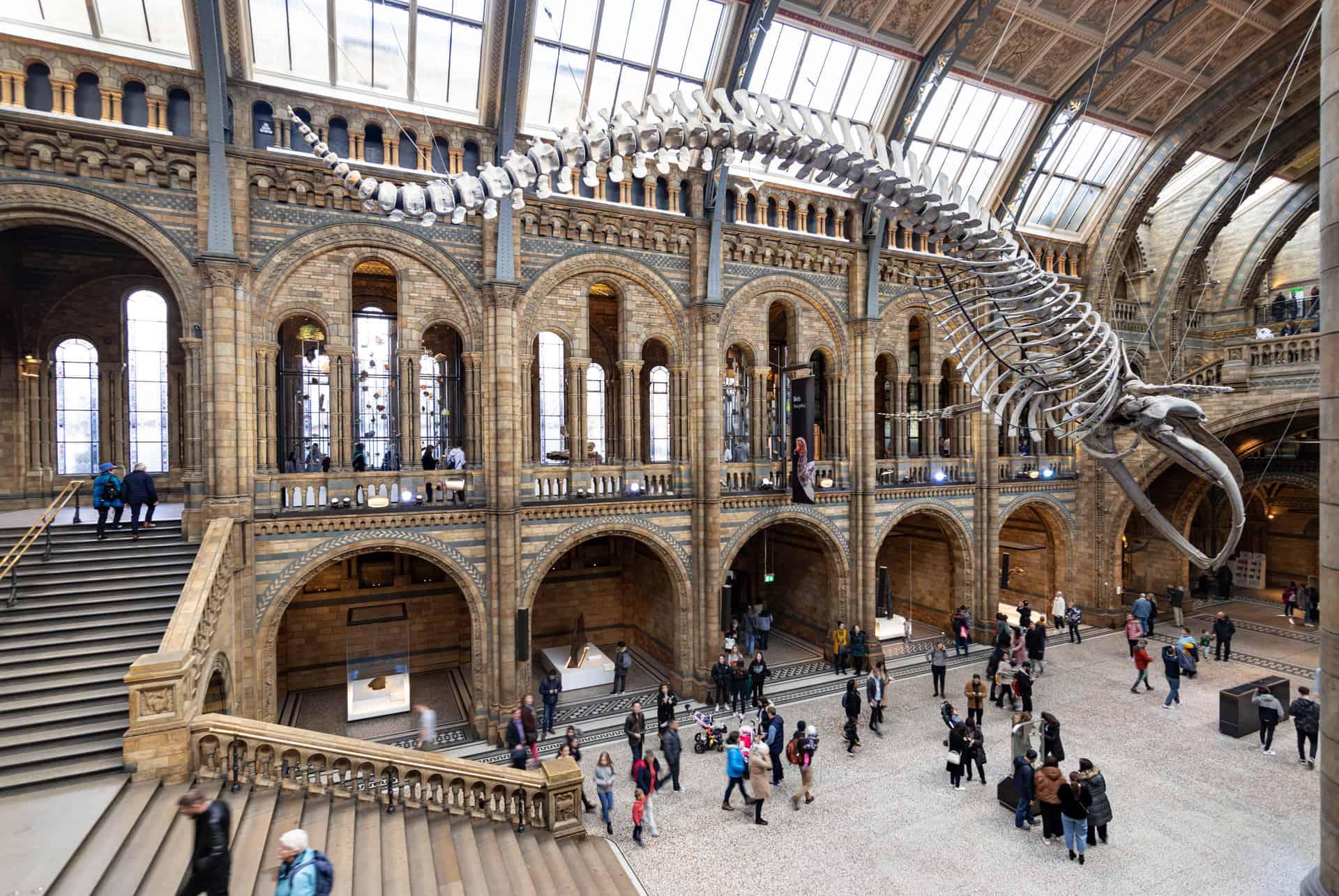 London in April Natural History Museum