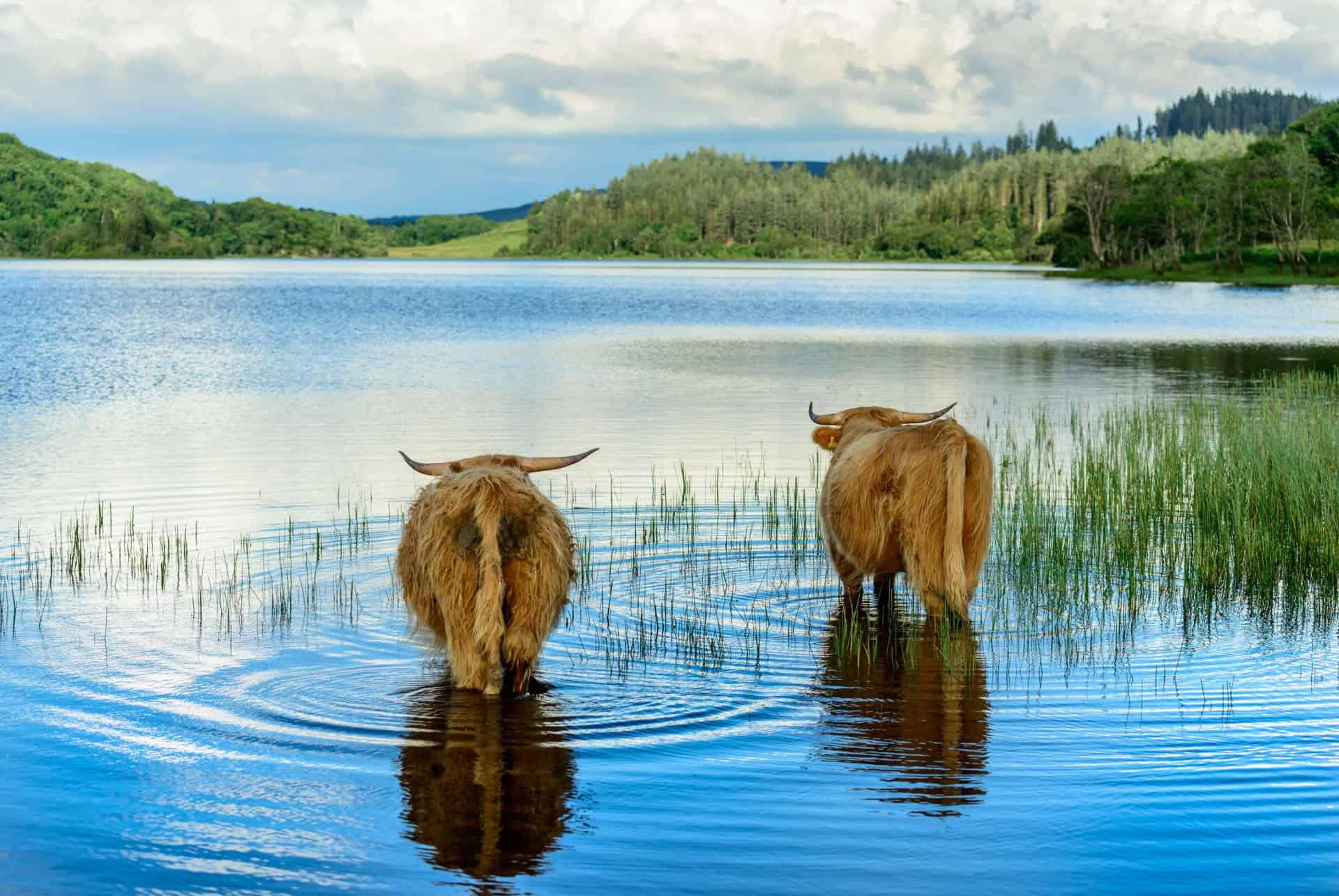 loch lomond scotland