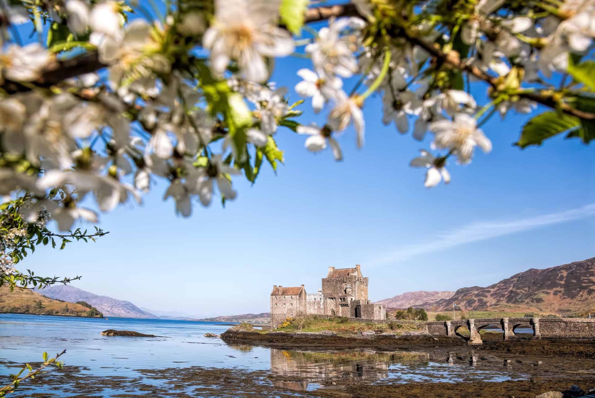 scotland in spring