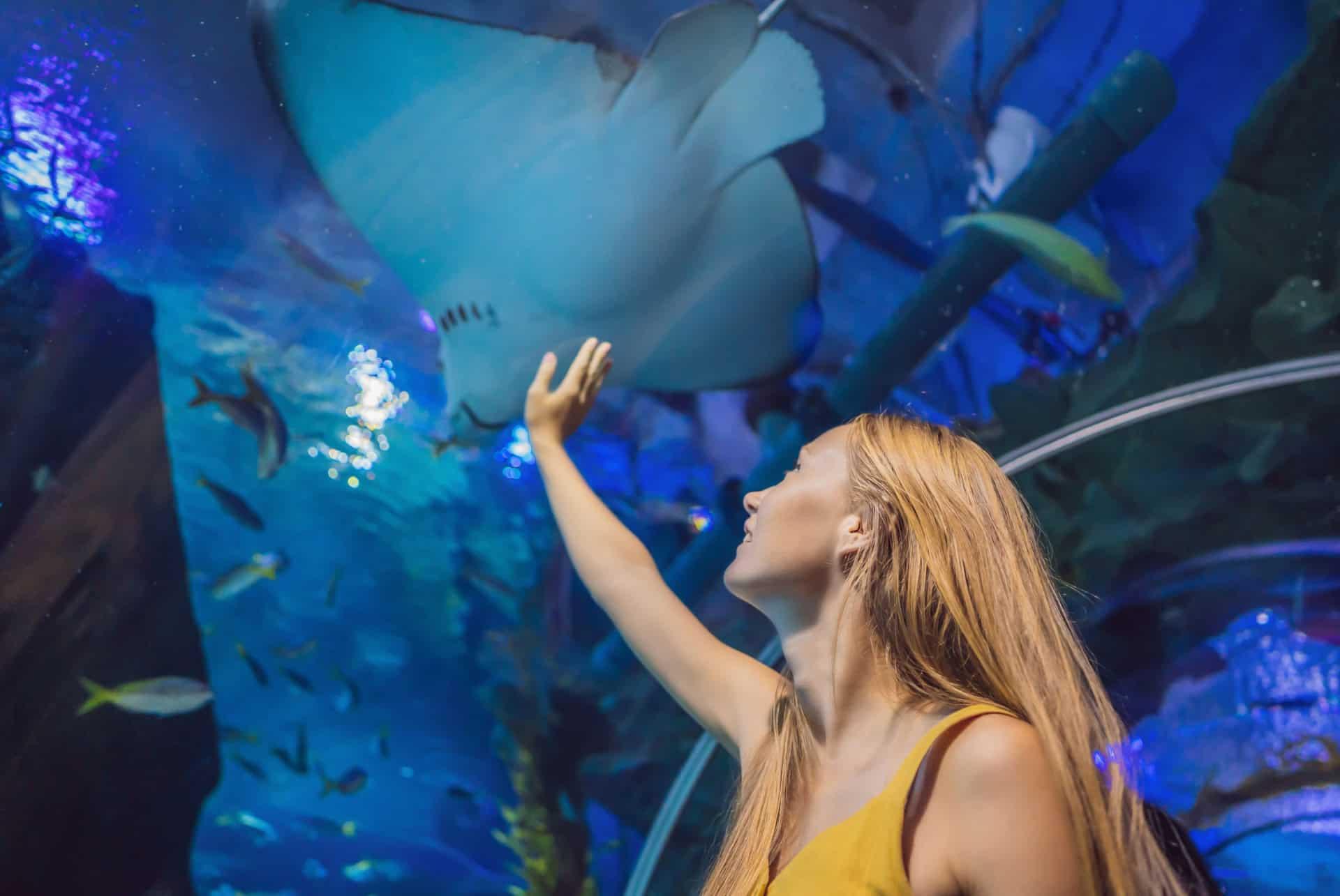 aquarium tickets