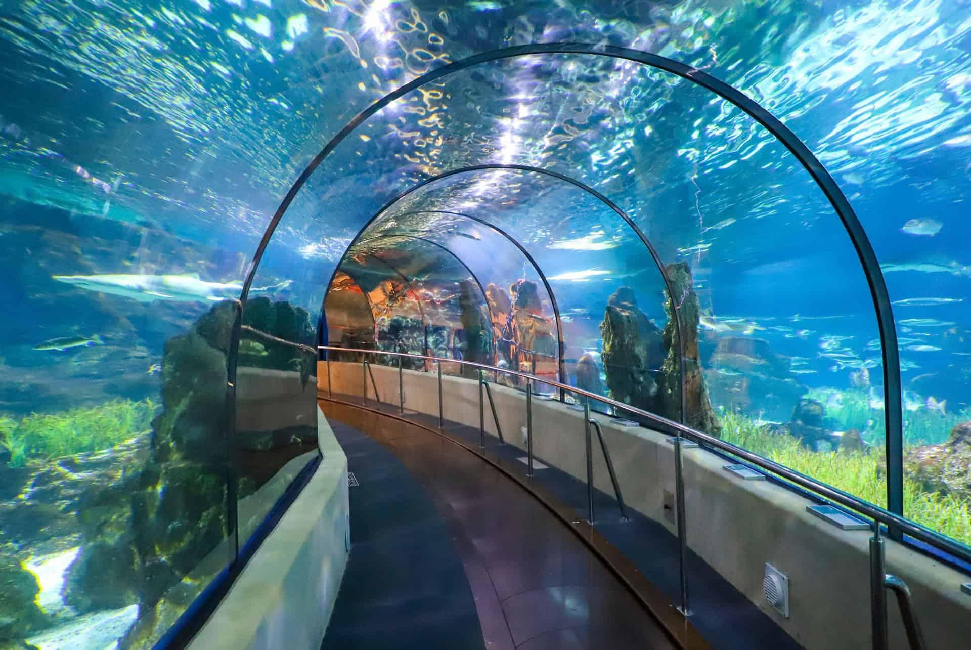 underwater tunnel