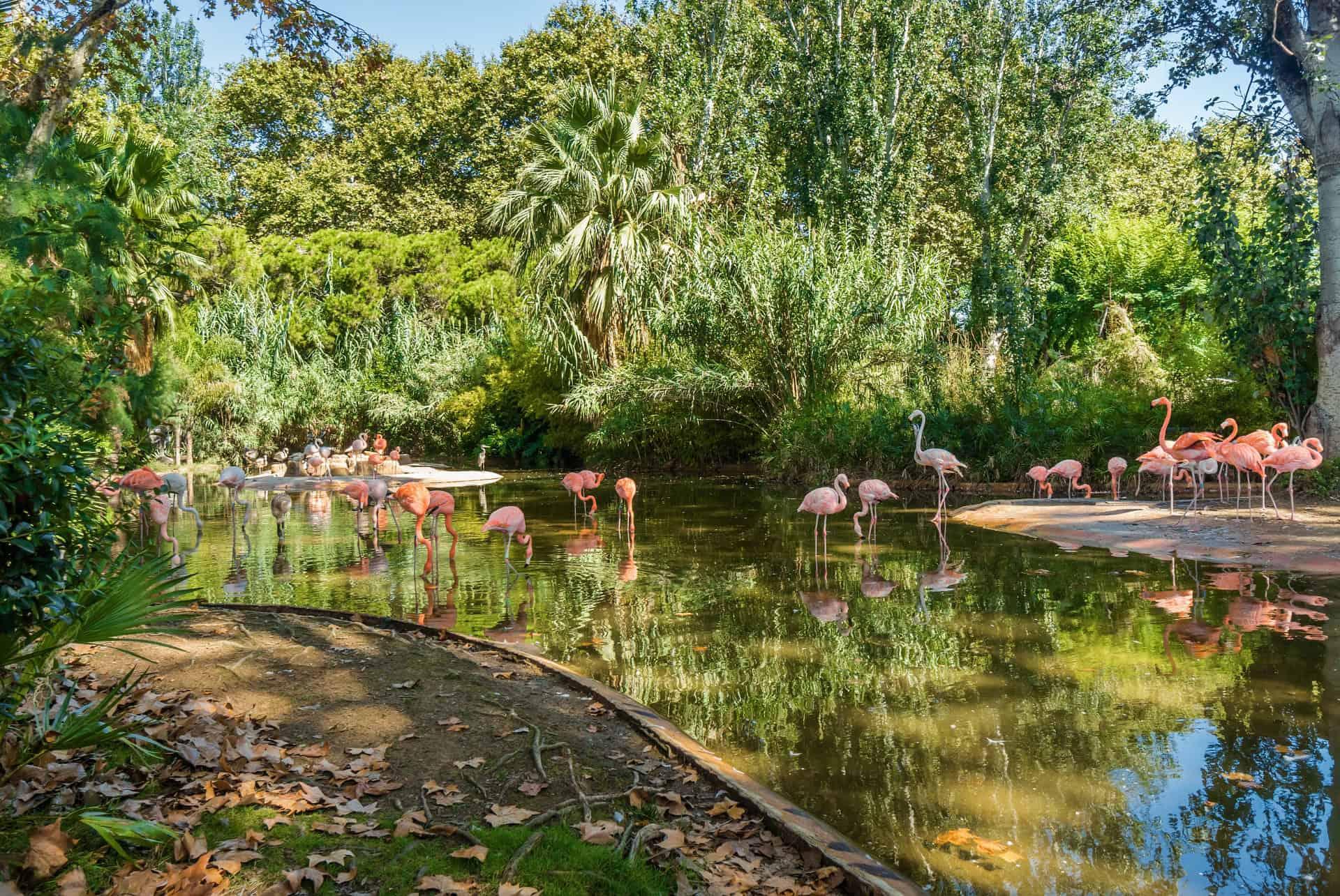 barcelona zoo