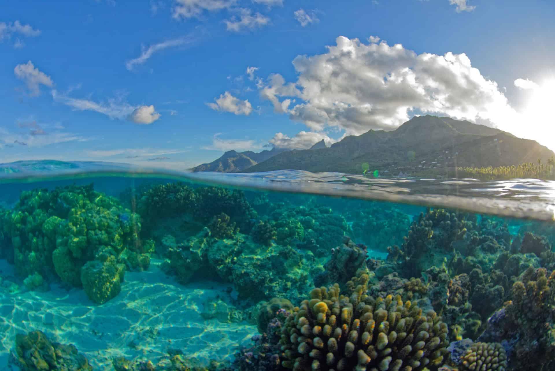 Moorea Island
