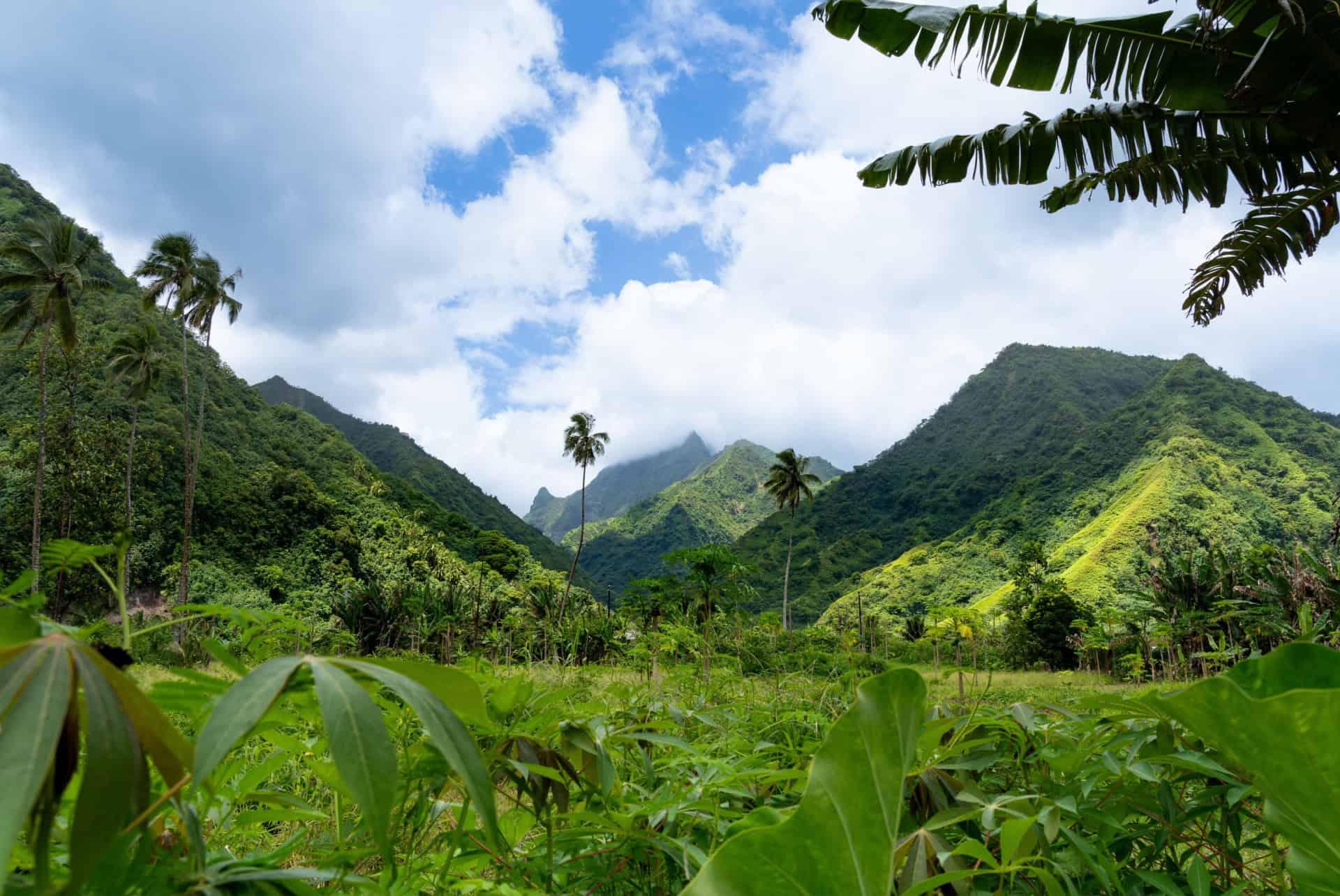 Teahupoo Tahiti