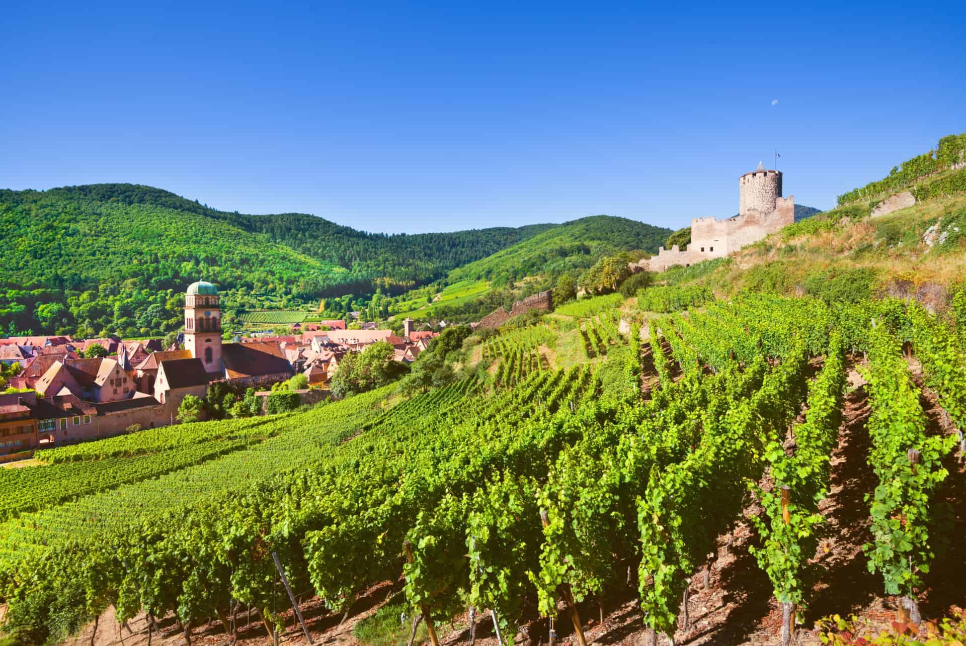 Kaysersberg Vineyard
