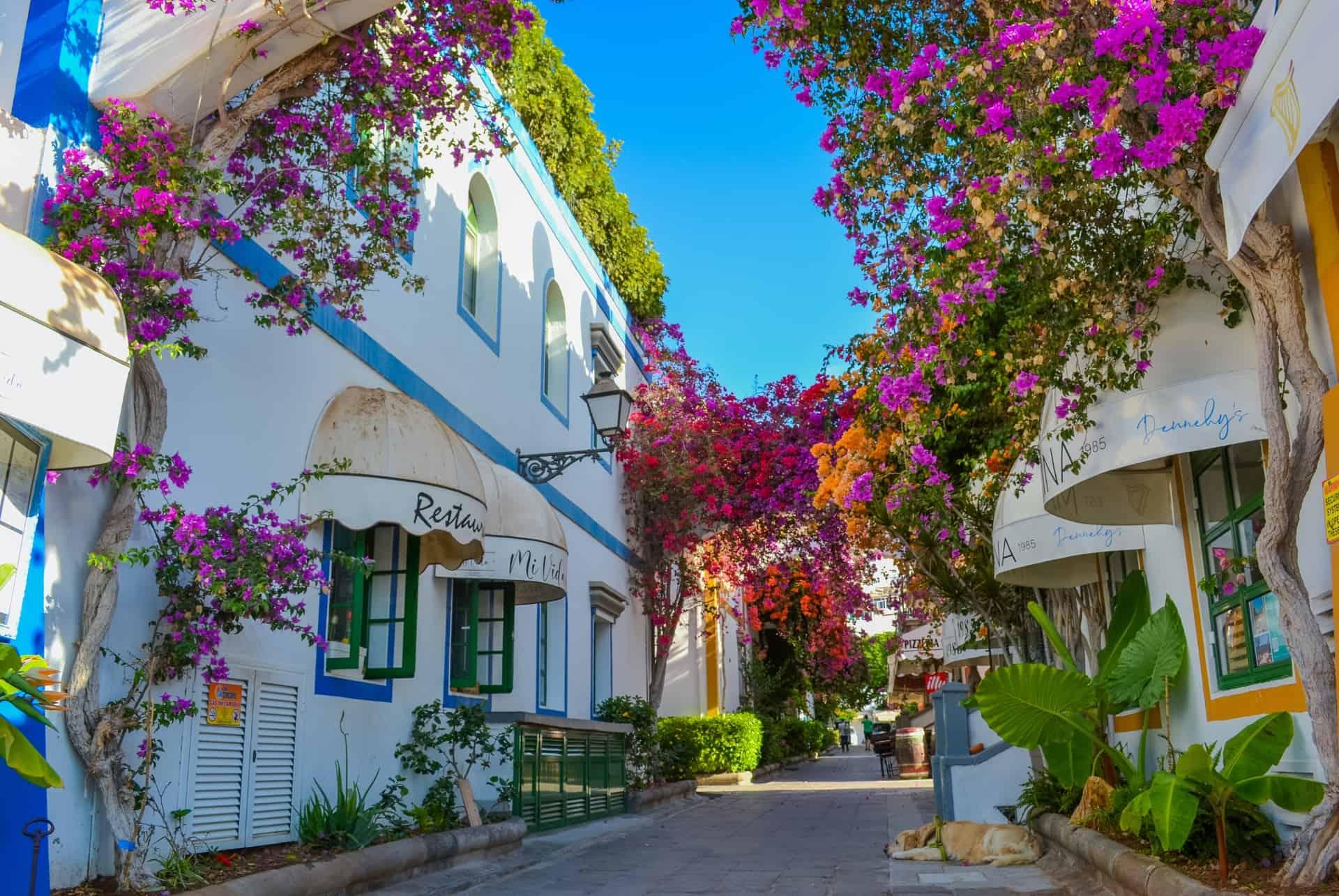 Puerto de Mogan