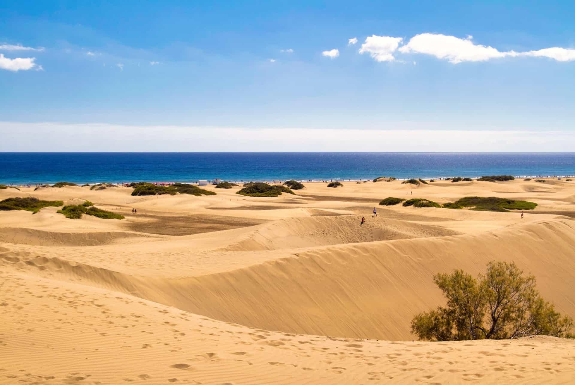 Maspalomas dunes