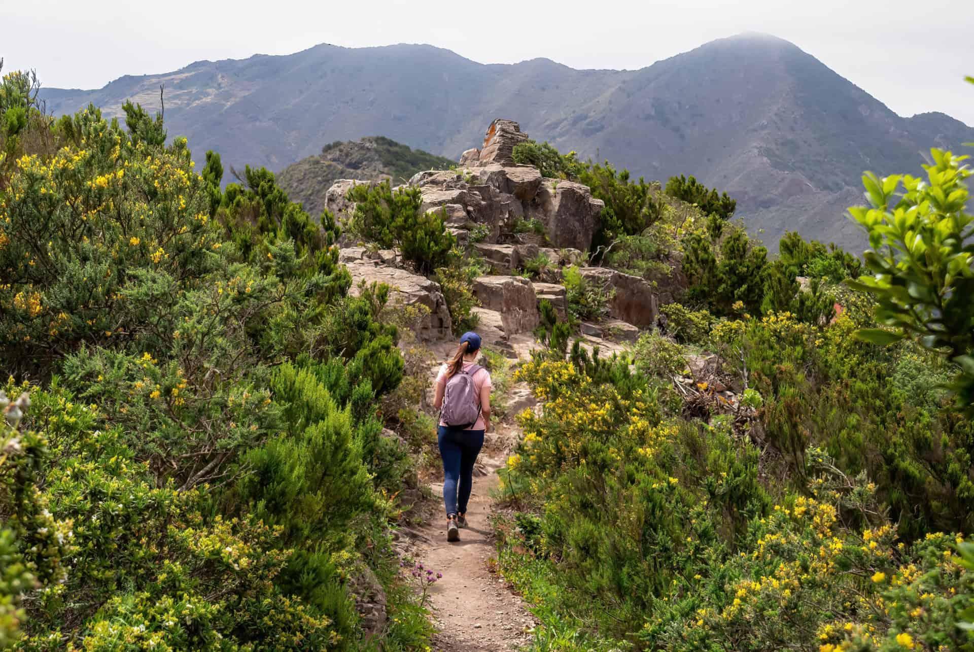 Teno Rural Park, Tenerife