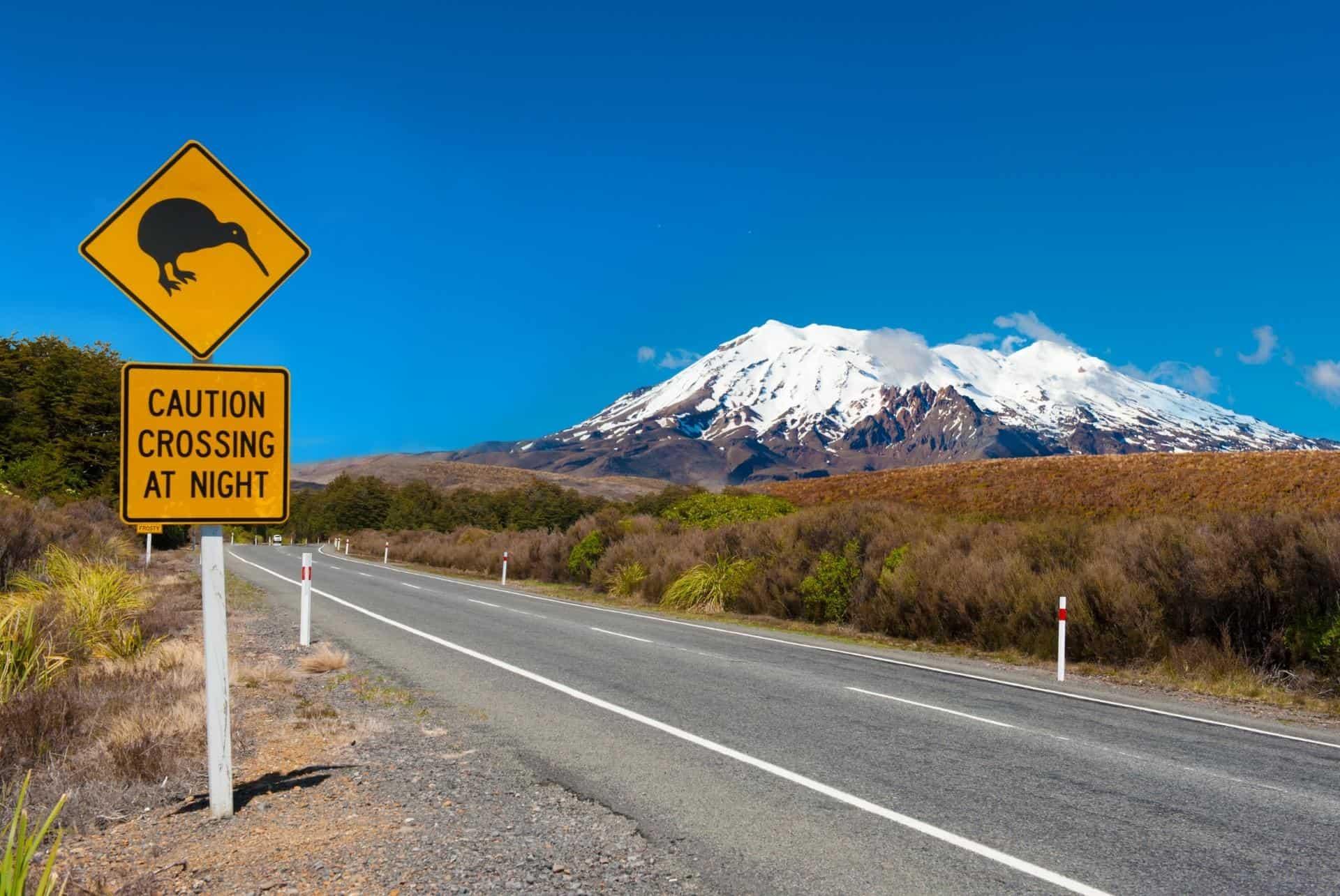 road in new zealand