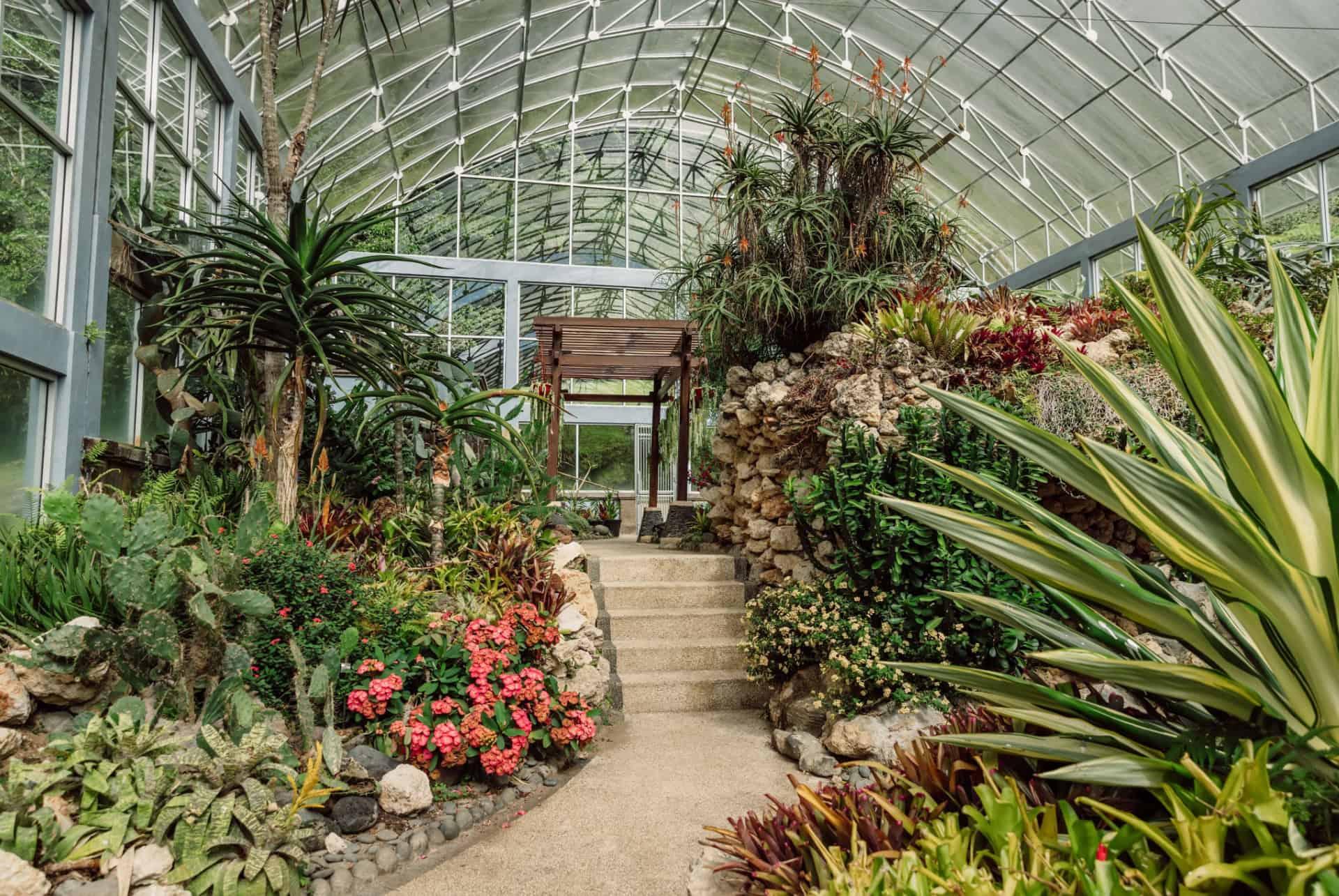 bali botanical garden