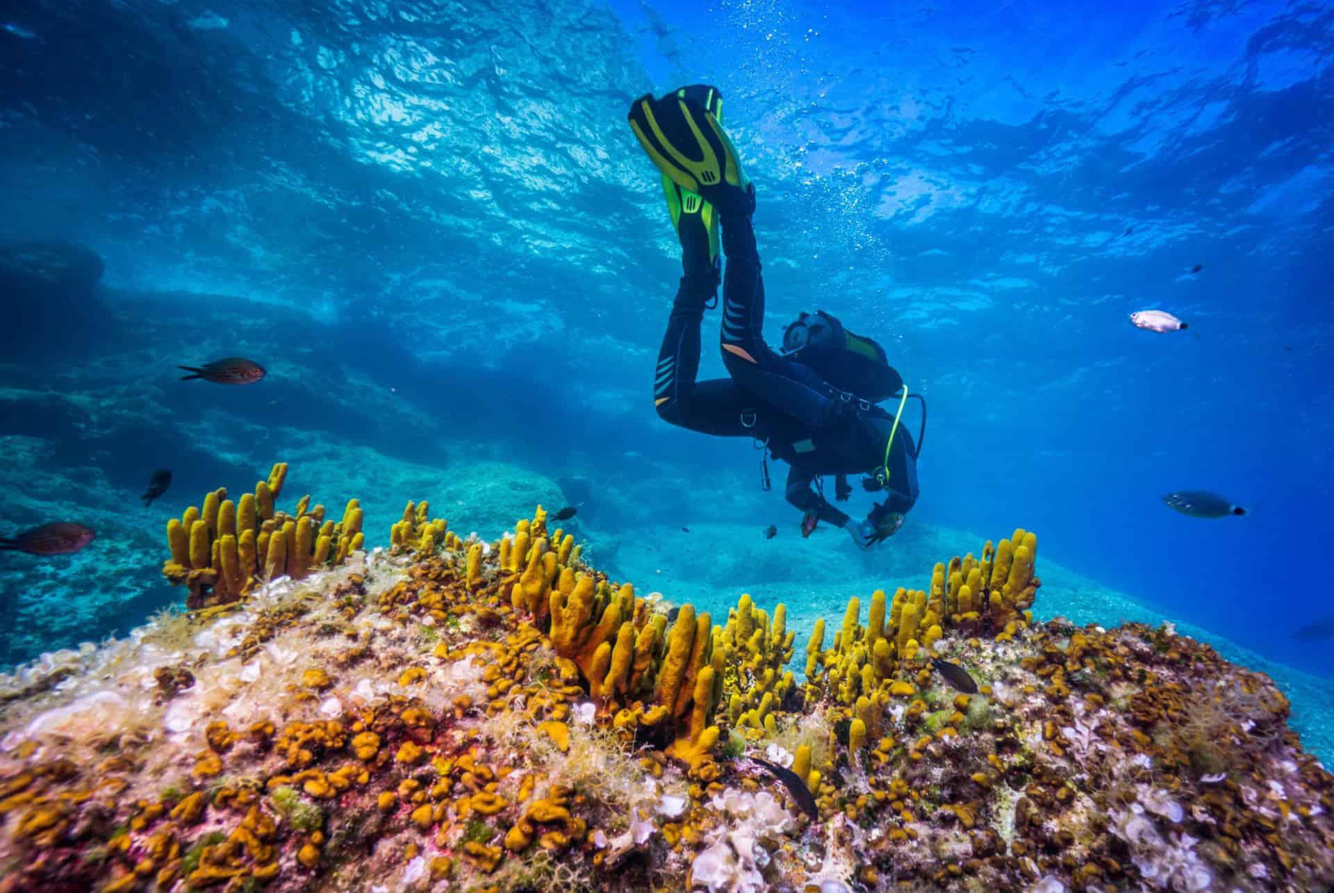 when to travel to croatia diving
