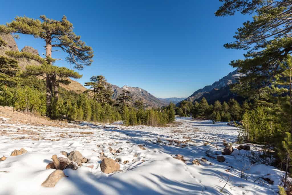 february in corsica