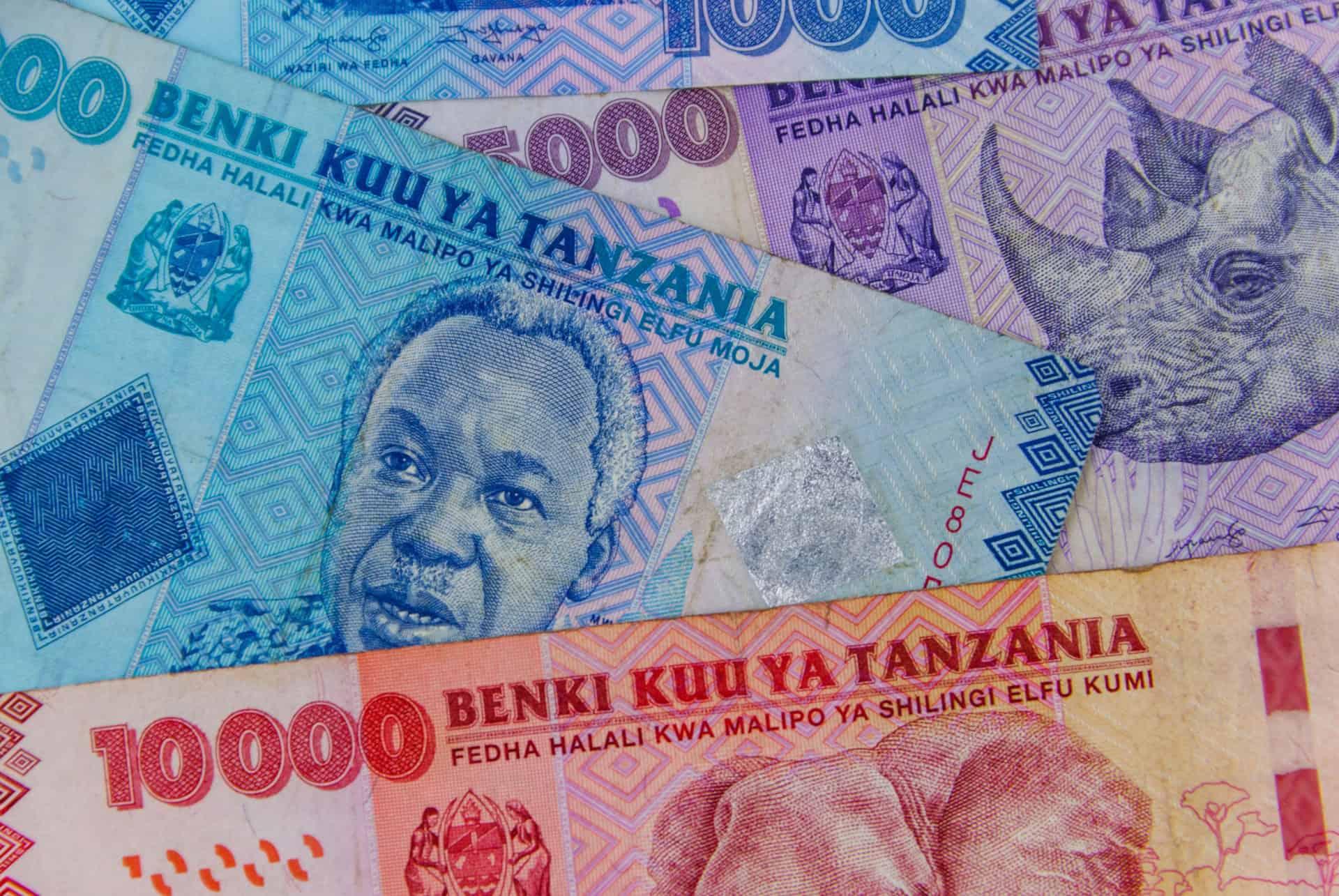 tanzanian shilling