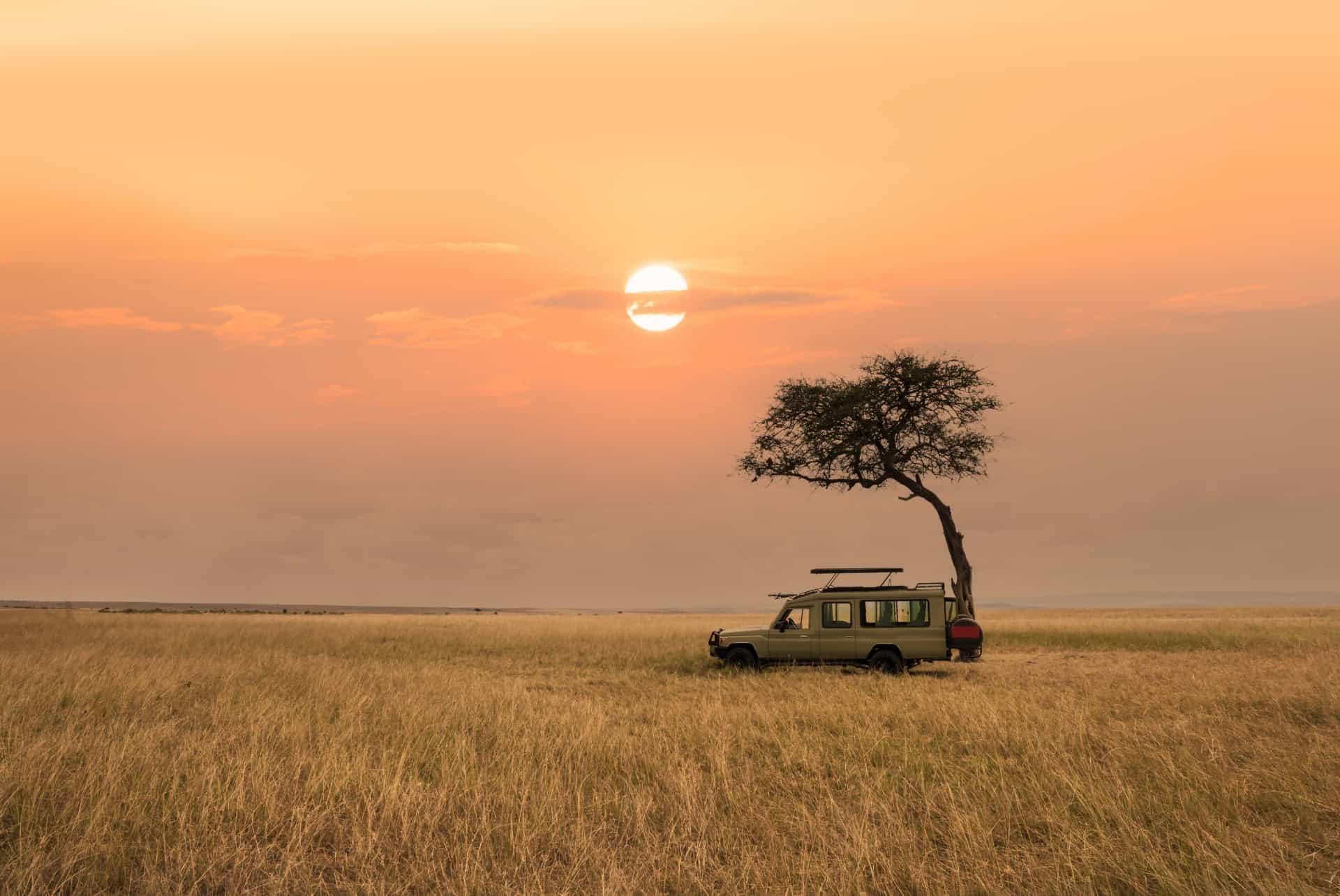 safari serengeti park