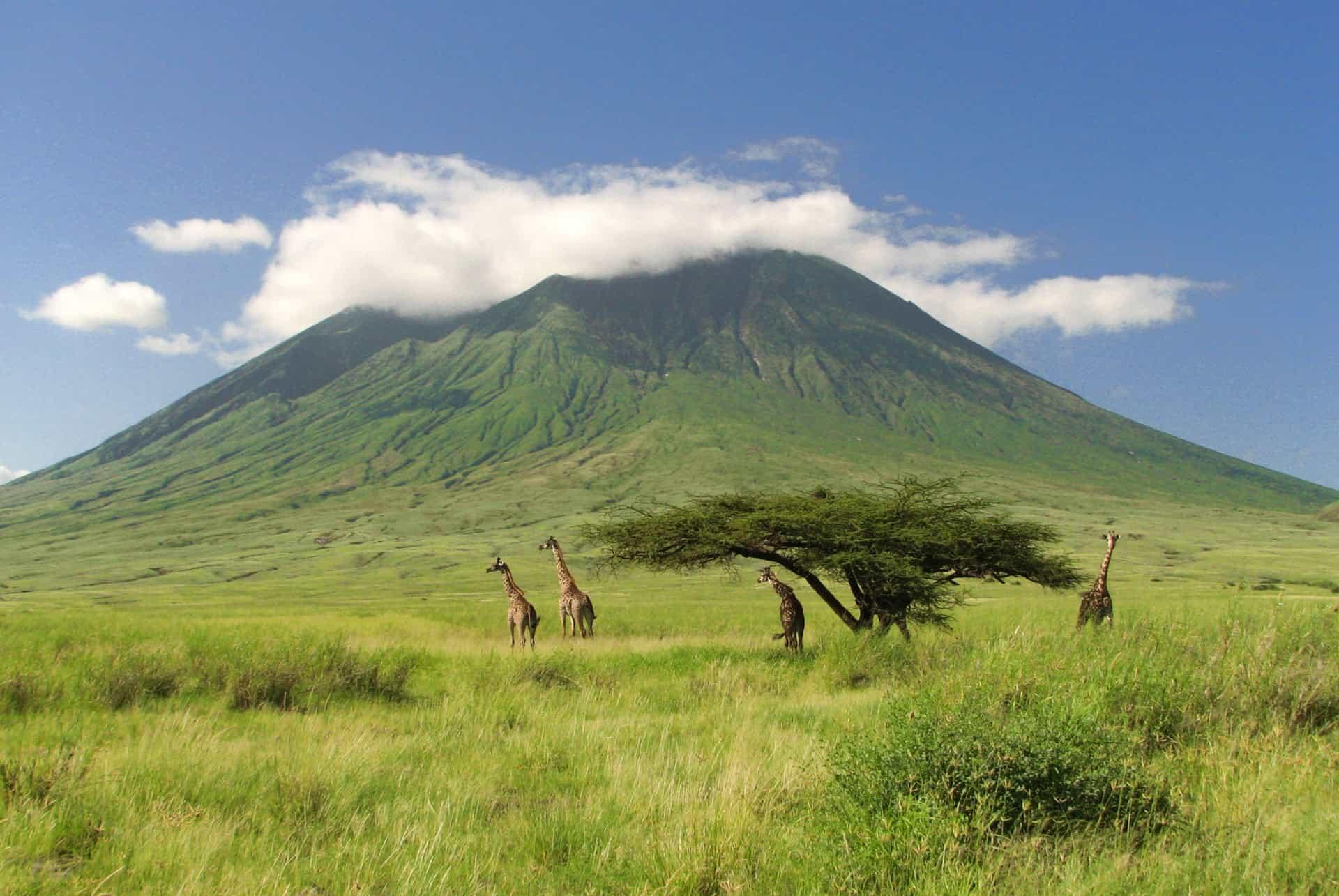 when to go to tanzania serengeti