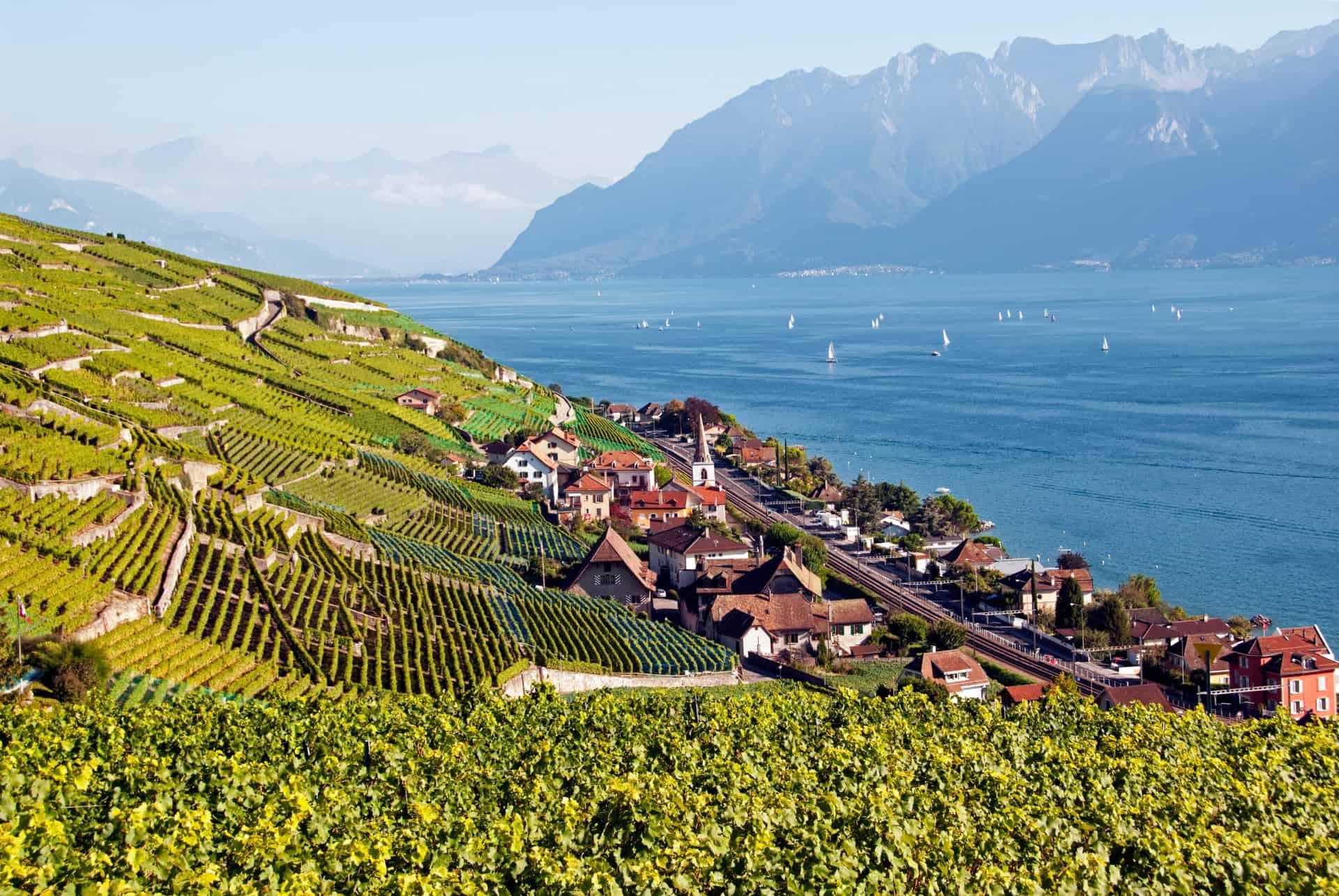 Lavaux Terraces