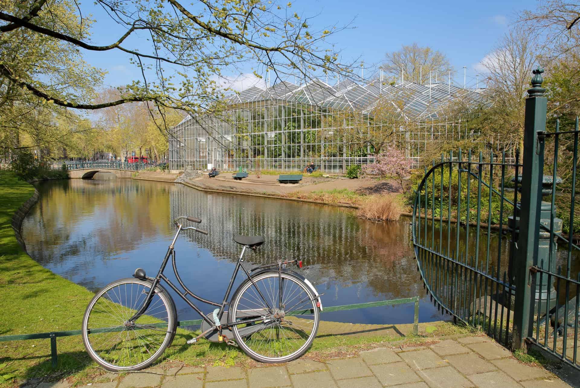 botanical garden plantage