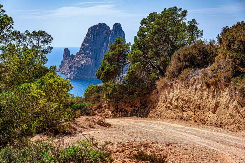 wild nature ibiza