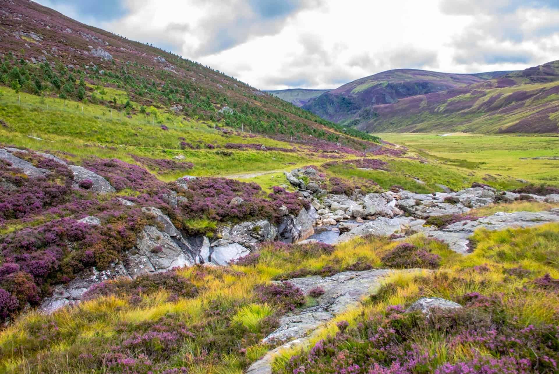Cairngorms National Park, Scotland