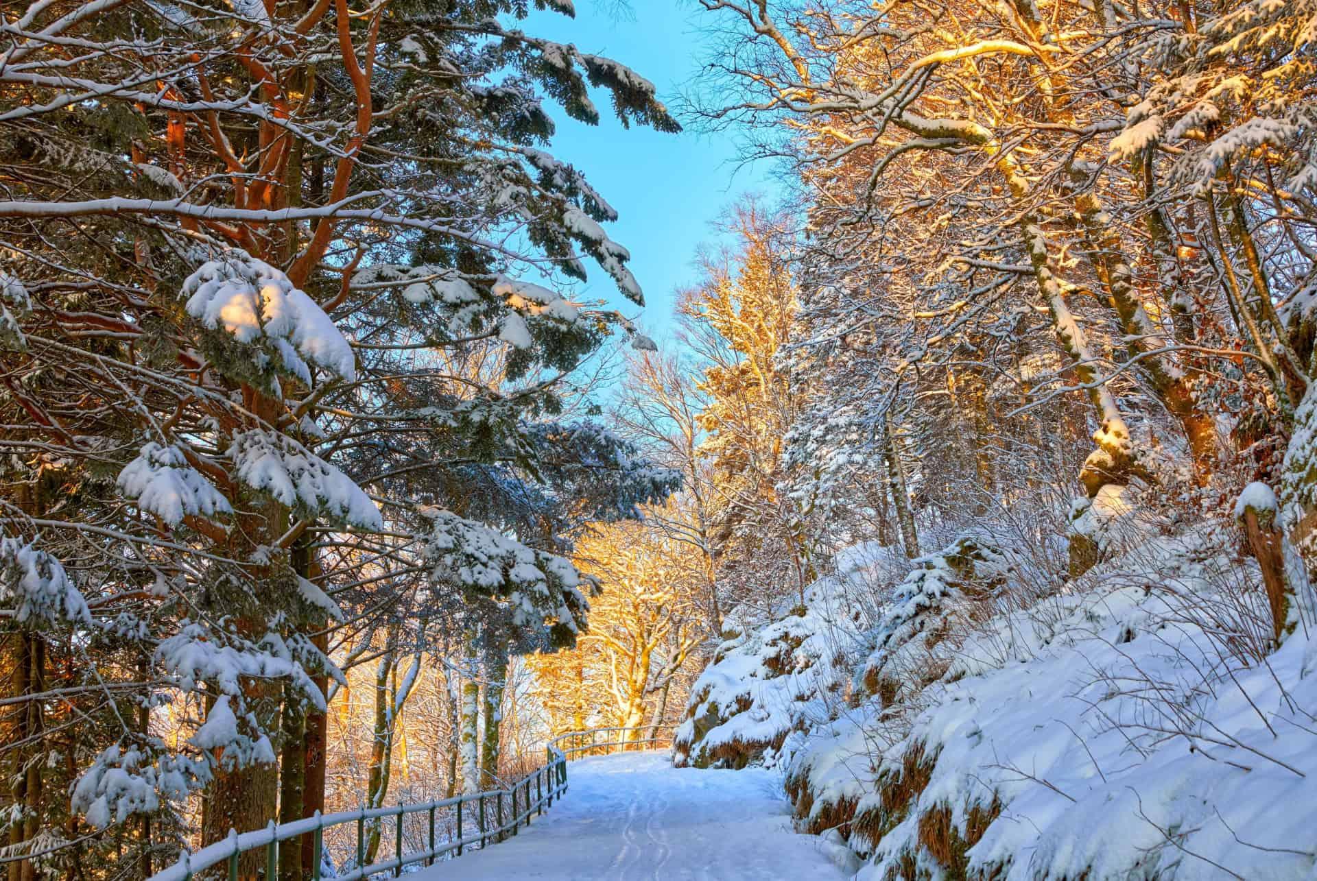 mount floyen path