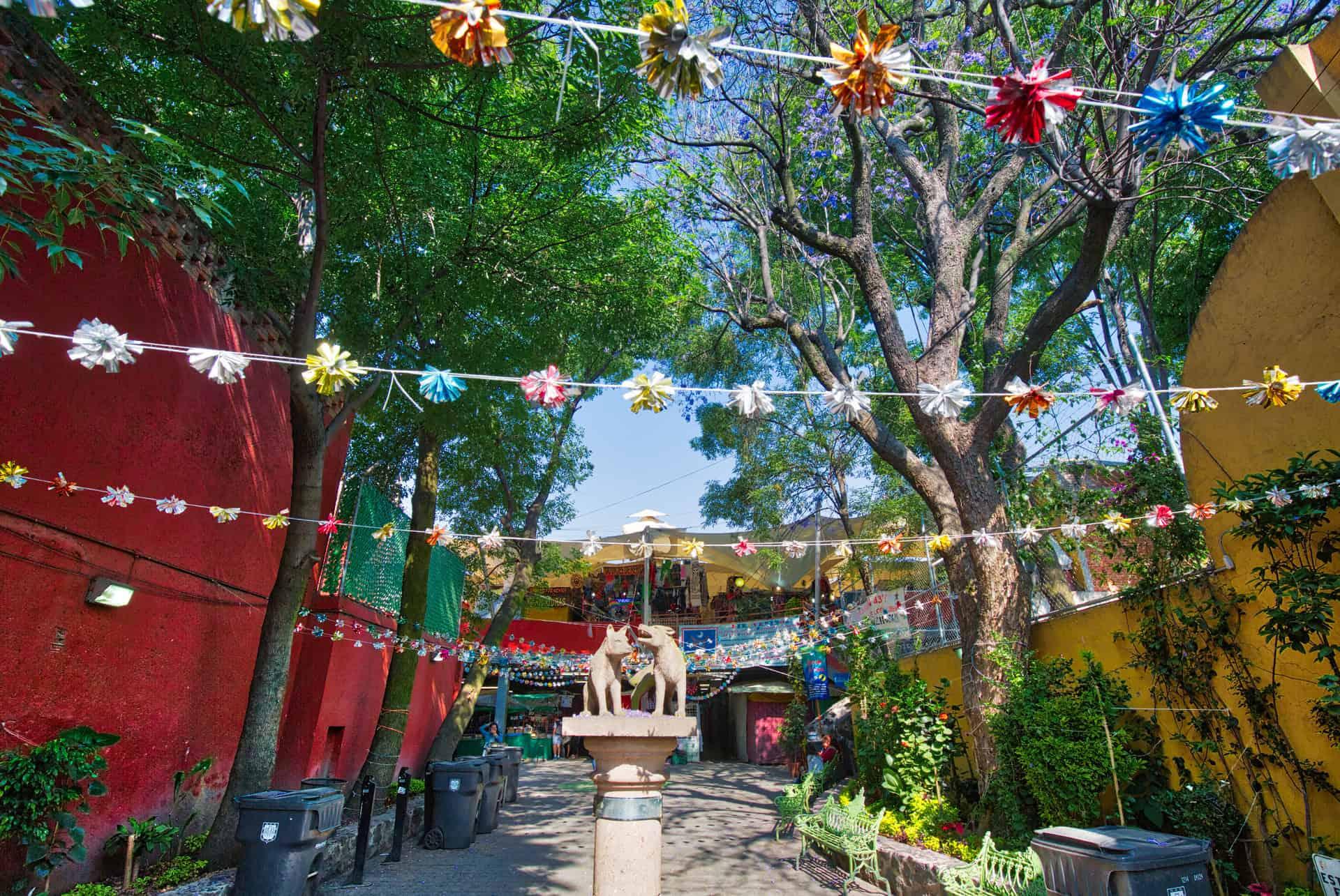 where to stay in mexico coyoacan