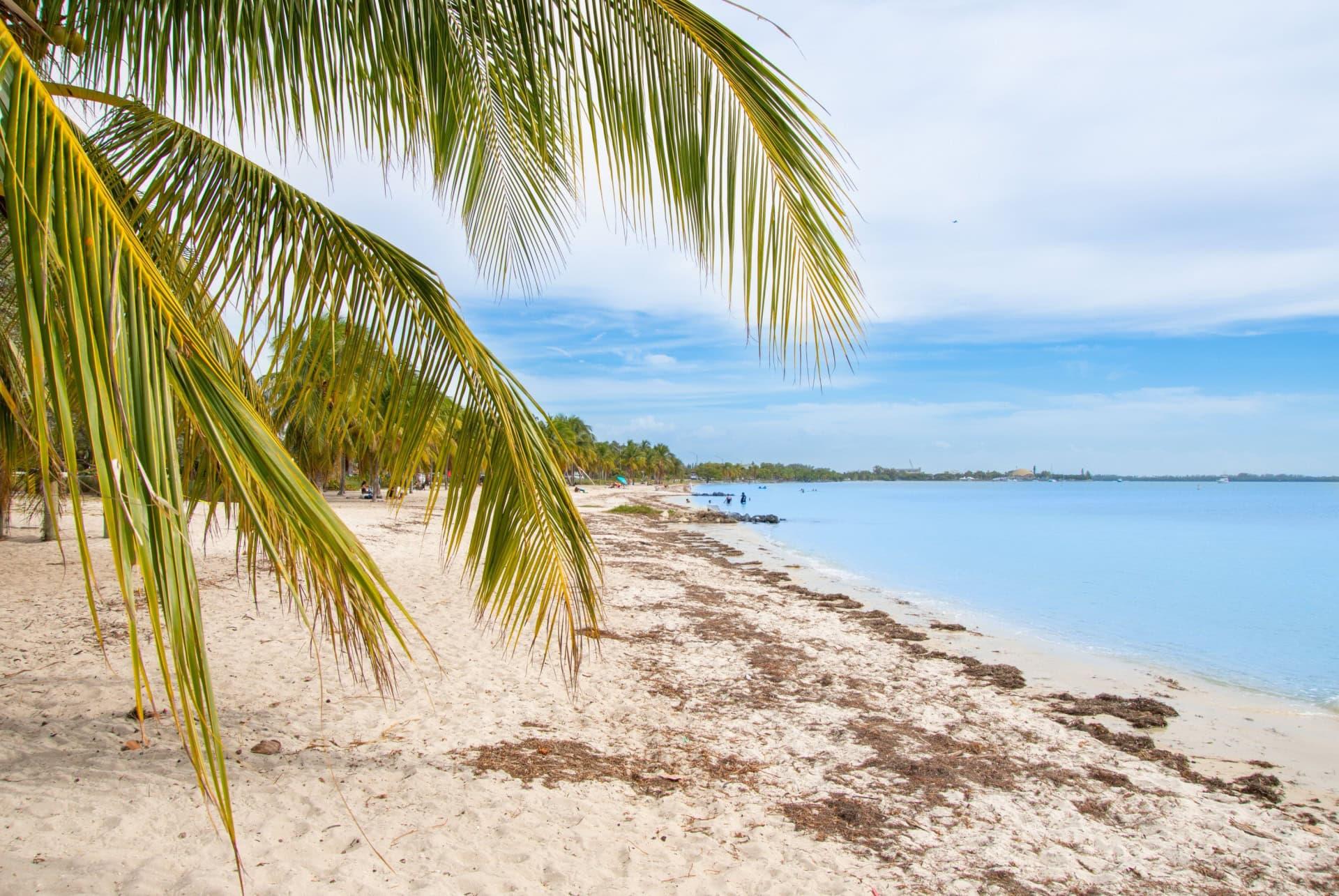 most beautiful beaches miami virginia key