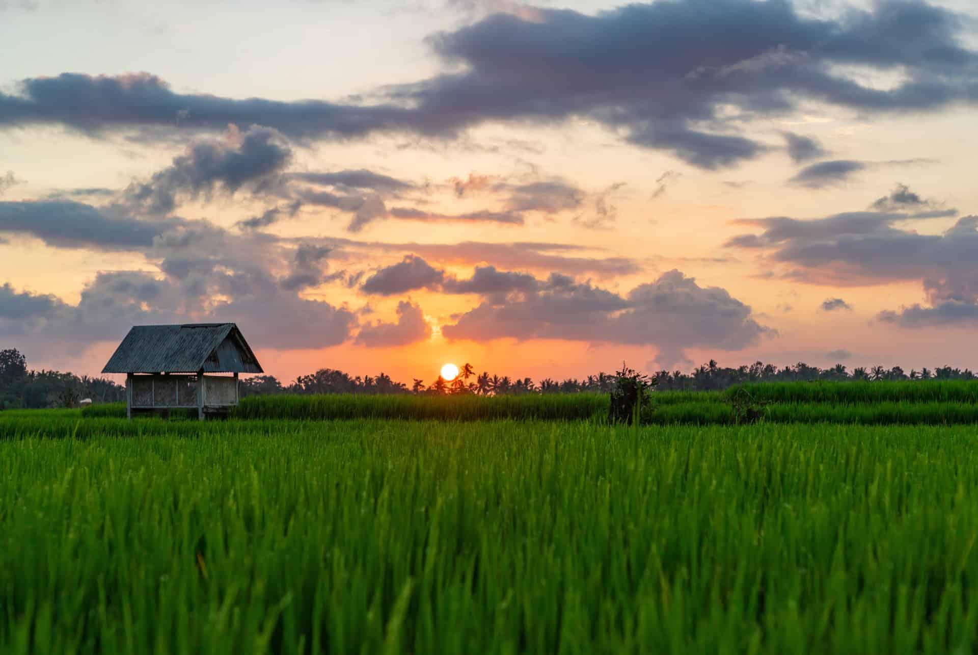 best time rice terraces