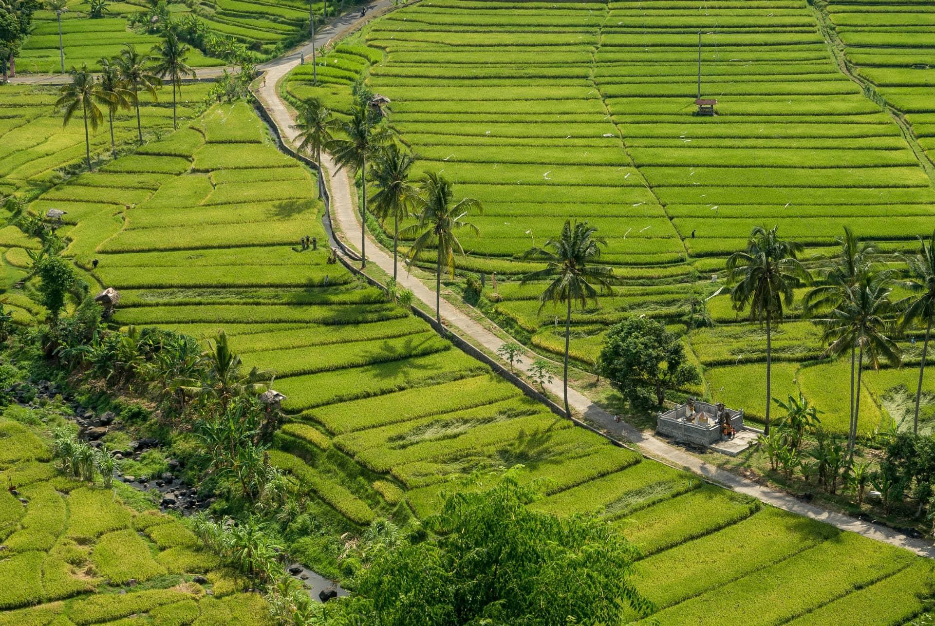 Pupuan road
