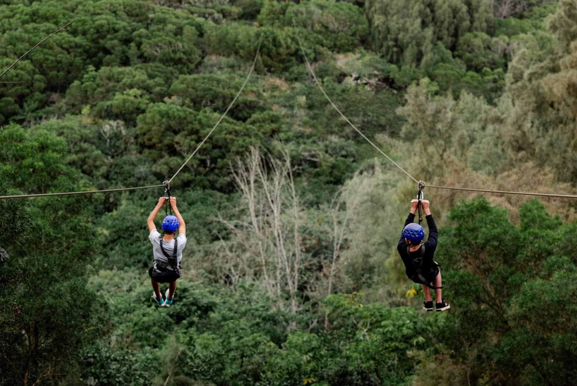 Zipline adventure