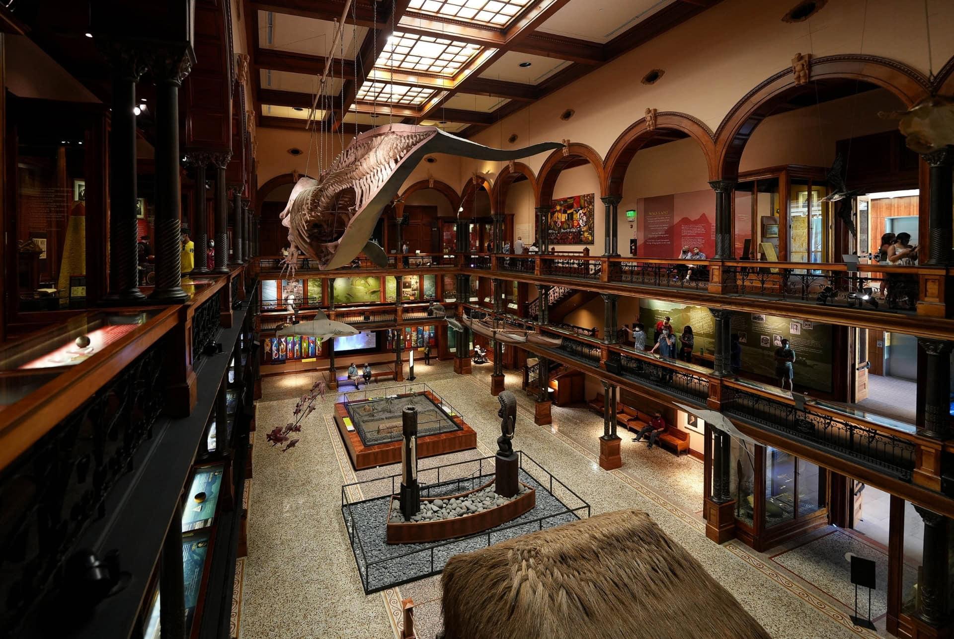 What to do in Oahu visit the Hawaii Natural and Cultural History Museum