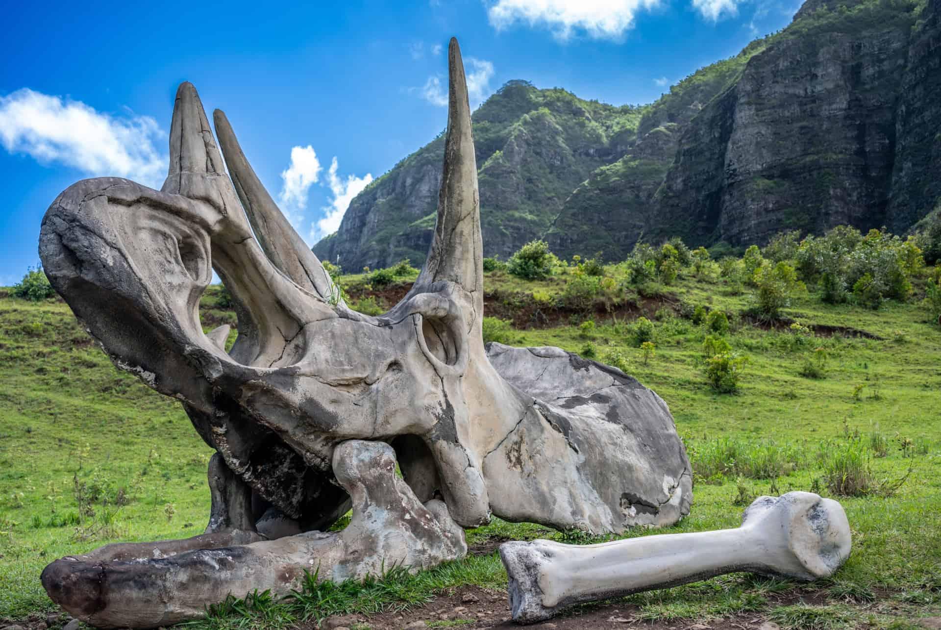 What to do in Oahu visit Kualoa Ranch and see Hollywood filming locations