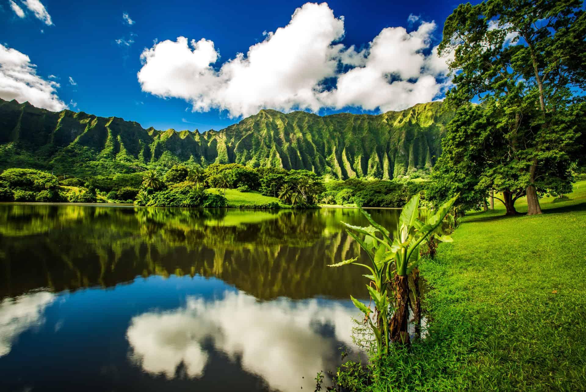 What to do in Oahu visit Ho'omaluhia Botanical Garden