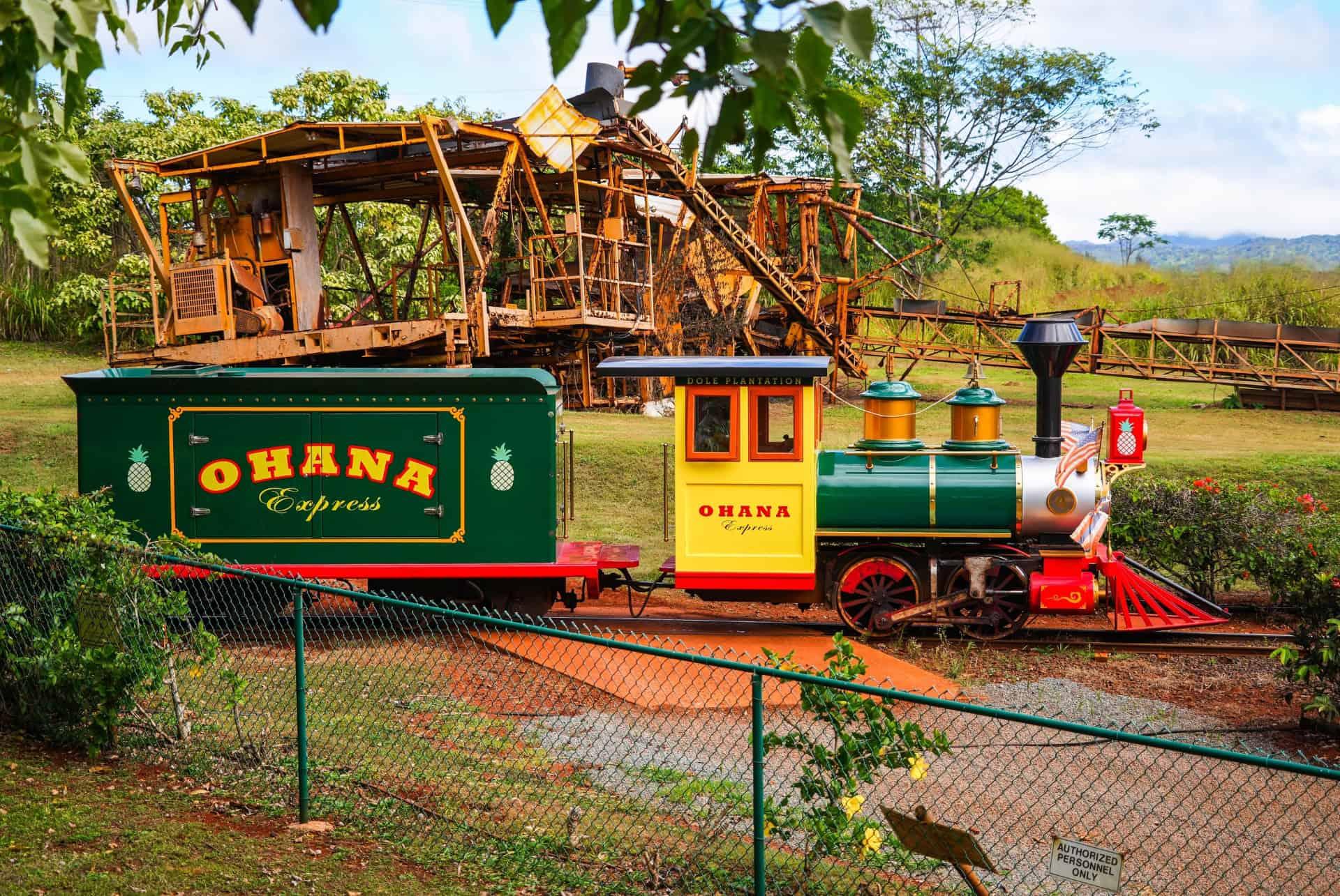 Dole pineapple plantation's little train
