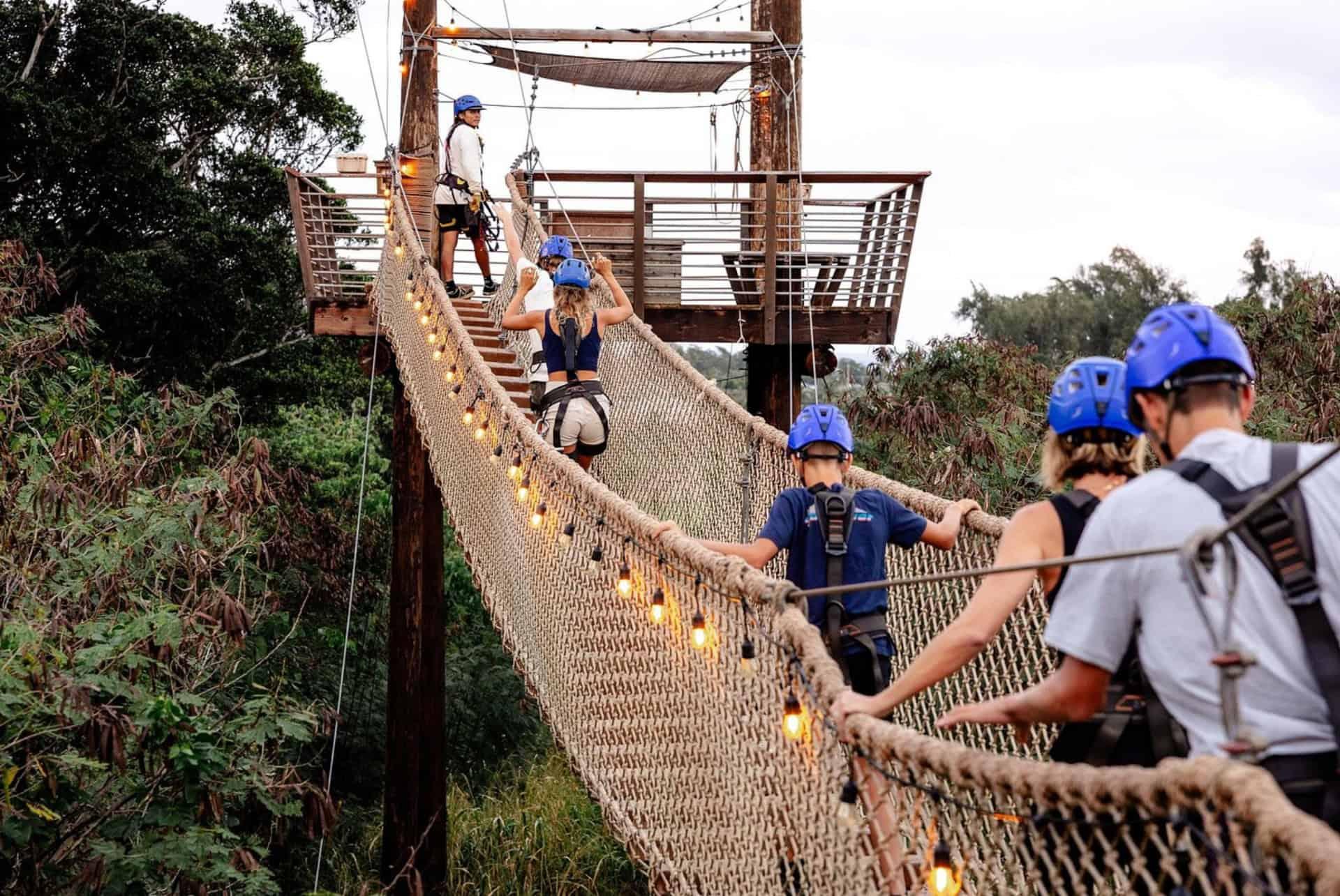 Tree top adventure