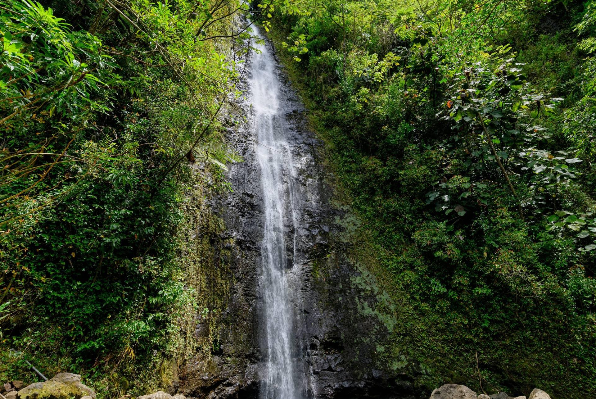 Manoa Falls