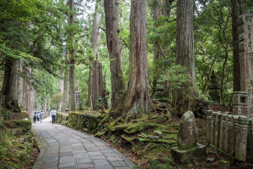 Koya, Mountain, Japan, travel