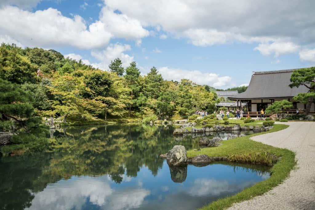 Japan, travel, Arashiyama, Kyoto, bamboo, monkey, macaque, Iwatayama
