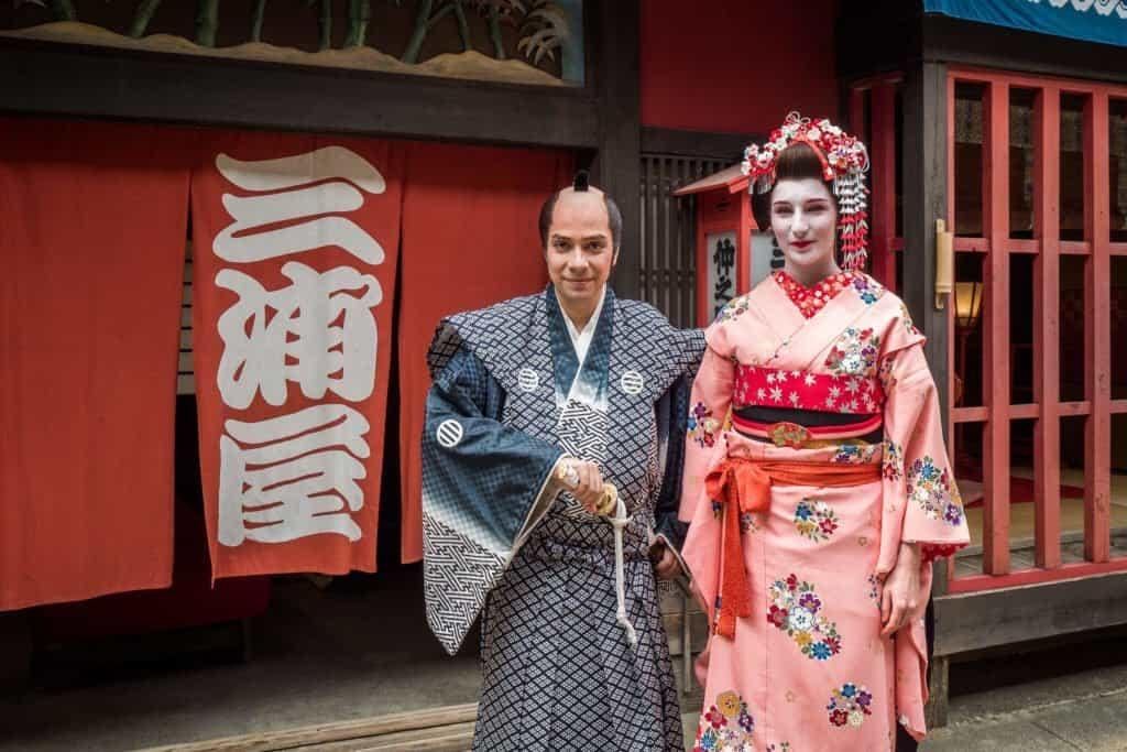 Japan, Kyoto, excursions, visits, day, train, geisha